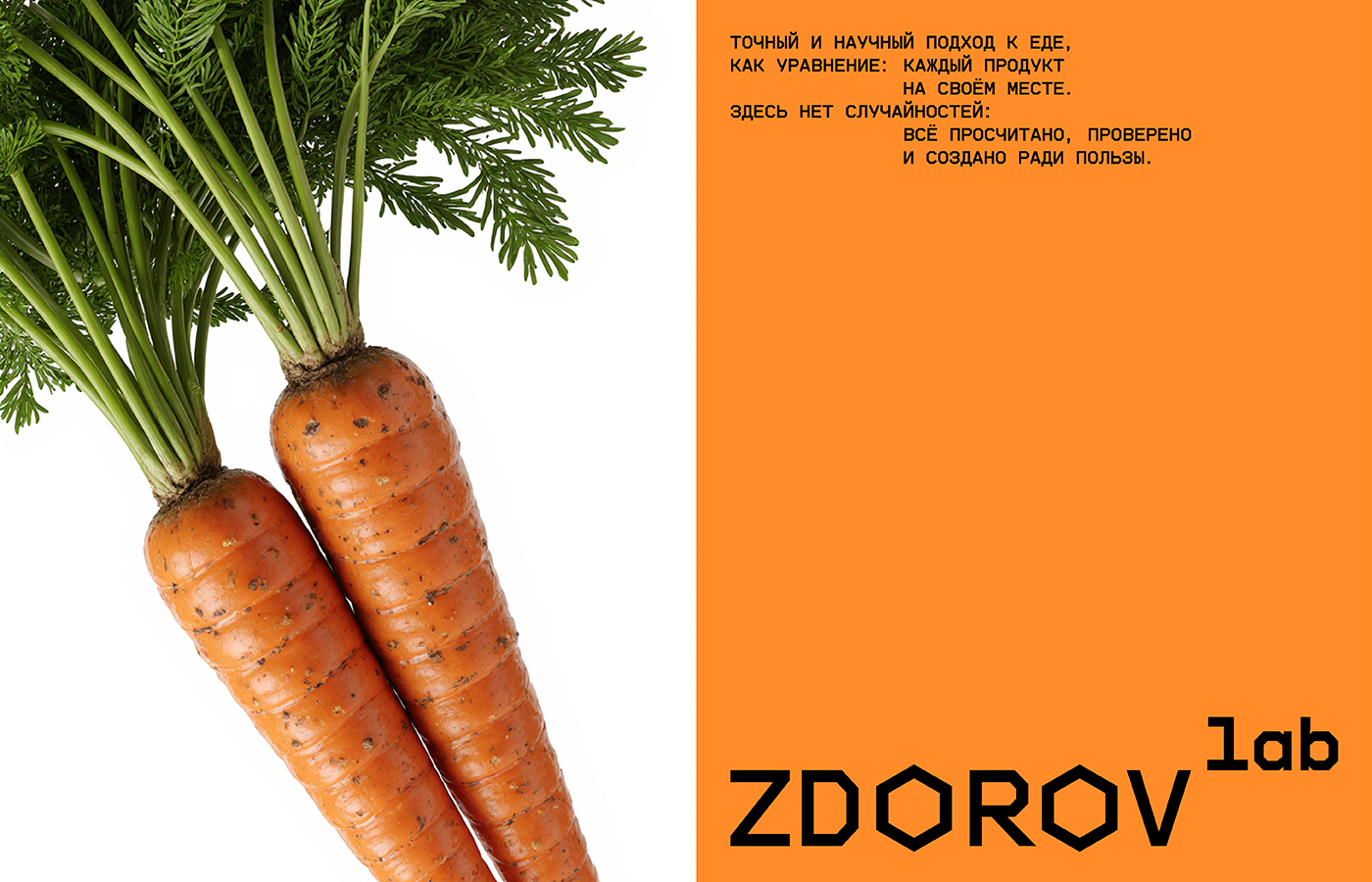 ZDOROV LAB I Фирменный стиль & Социальные сети — Изображение №5 — Брендинг, Графика на Dprofile