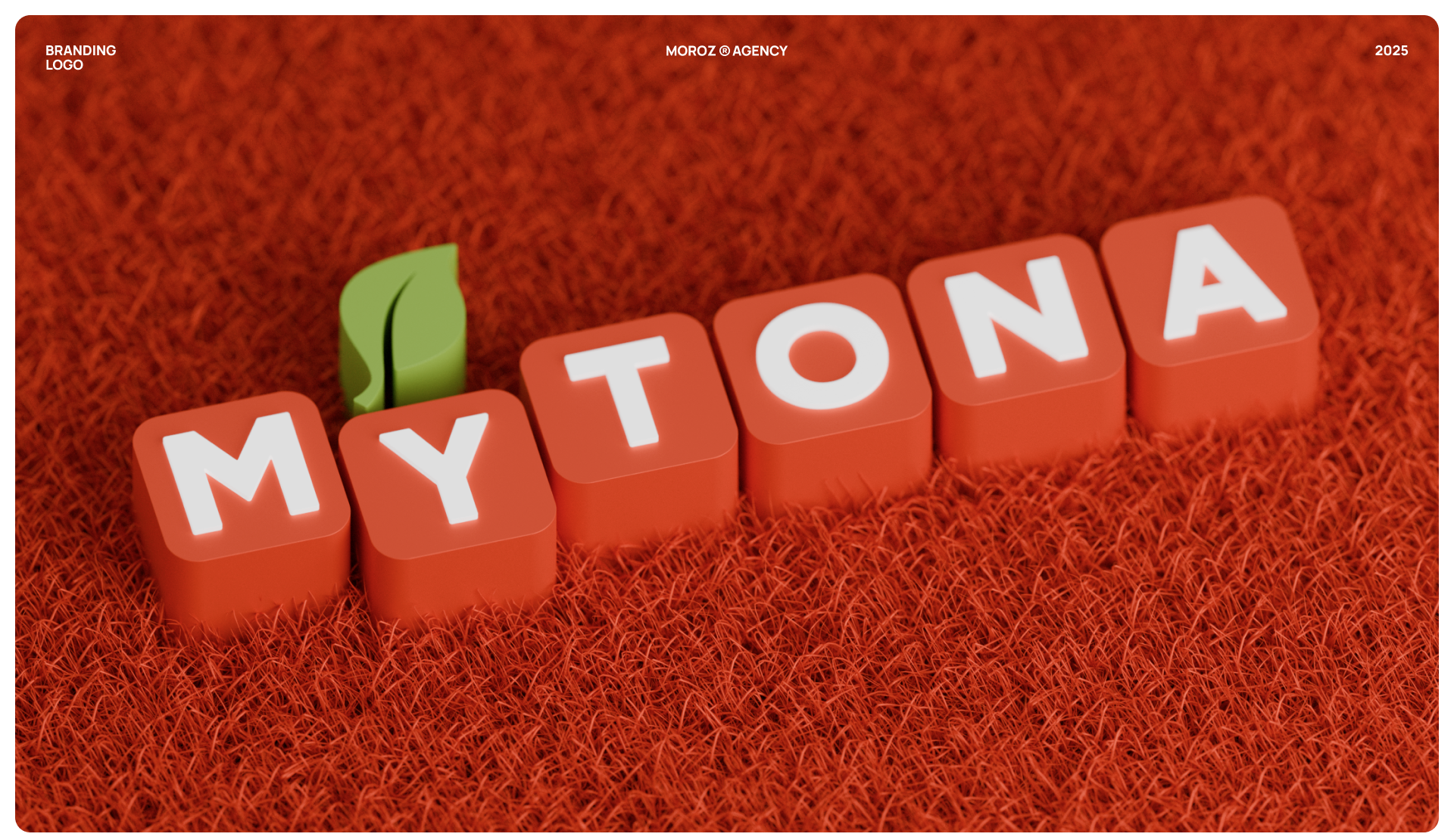 MYTONA | Branding — Изображение №1 — Брендинг на Dprofile