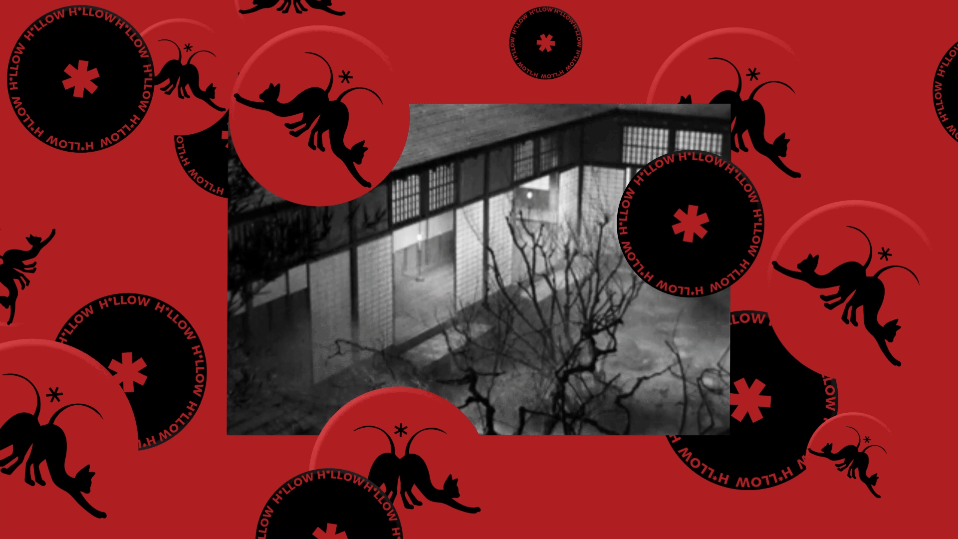 Logo. Branding / Логотип — Изображение №6 — Брендинг на Dprofile