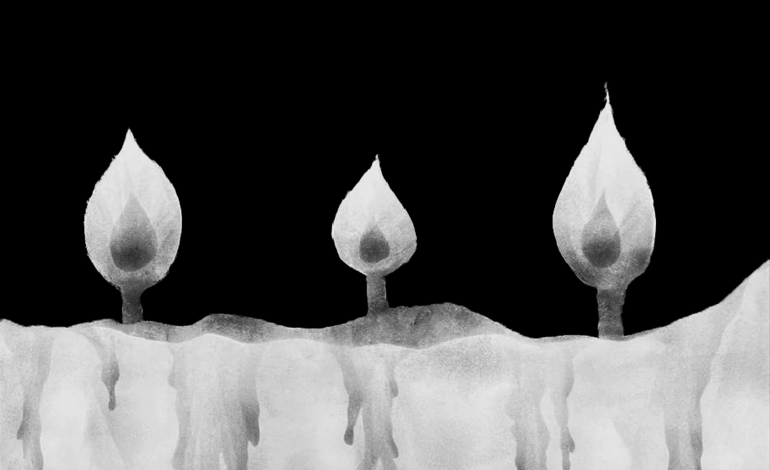 "Концерт при свечах. Ночь в Соборе. Моцарт. Реквием" — Изображение №1 — Графика на Dprofile