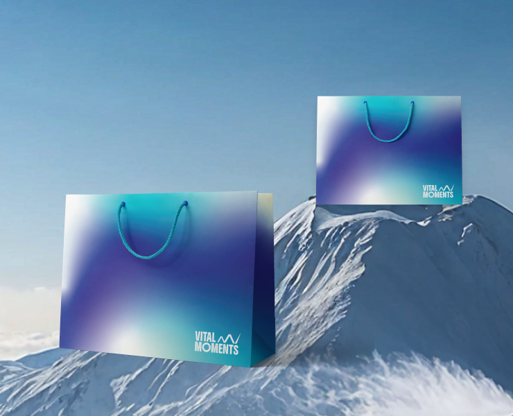 Фирменный стиль для бренда экшн-камер — Брендинг на Dprofile