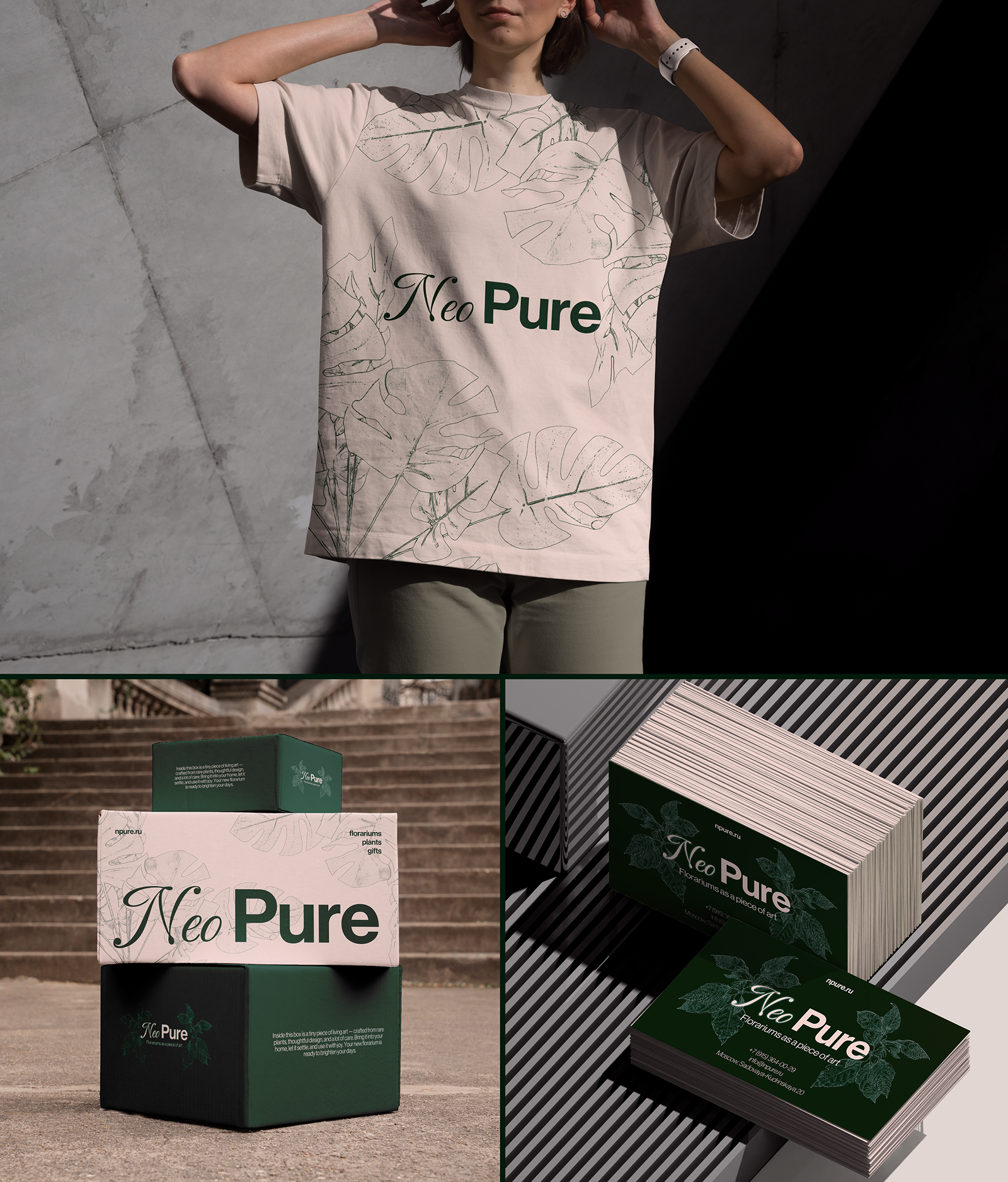 NeoPure | website | интернет-магазин флорариумов — Изображение №6 — Интерфейсы, Брендинг на Dprofile