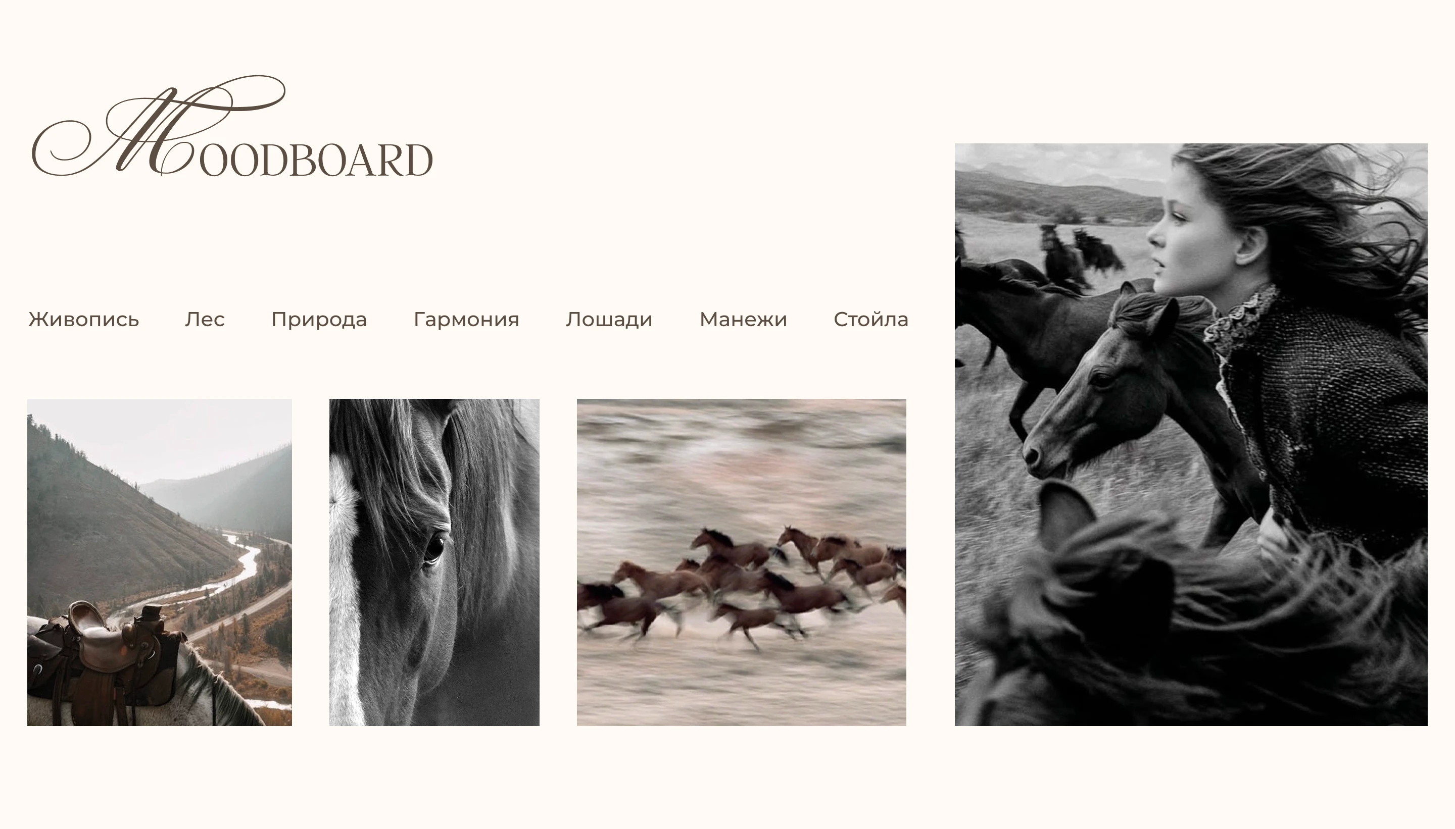 Landing page- Horse club — Изображение №9 — Интерфейсы на Dprofile