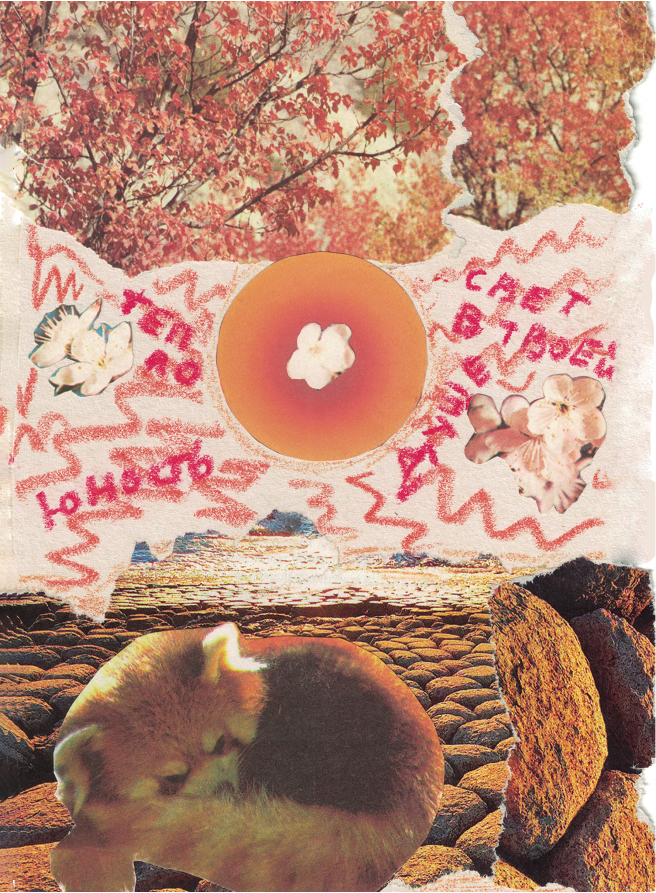 Katherine's Collages / Катины Коллажи — Изображение №2 — Графика на Dprofile