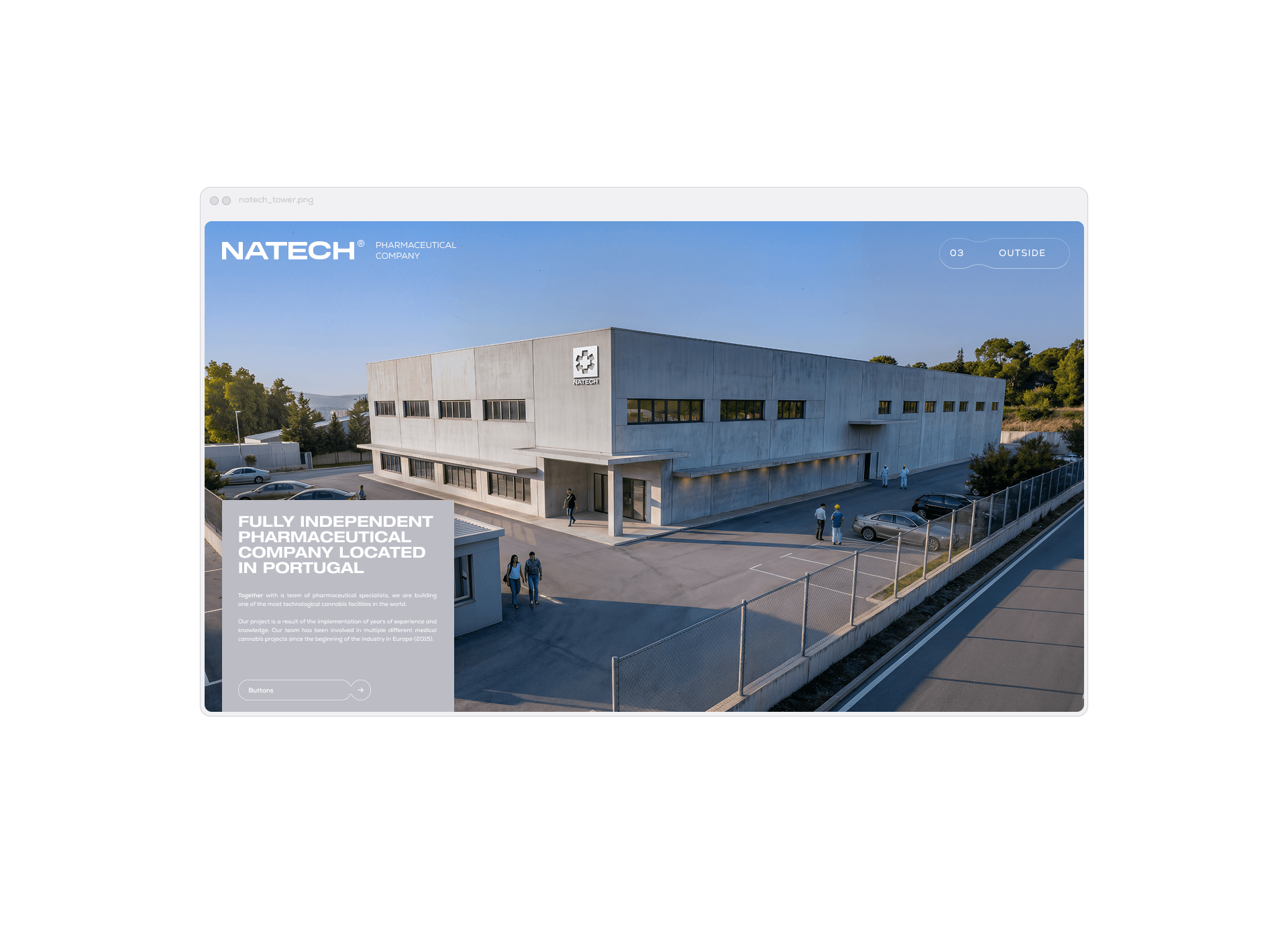 Natech Pharmaceutical — Изображение №8 — Брендинг на Dprofile