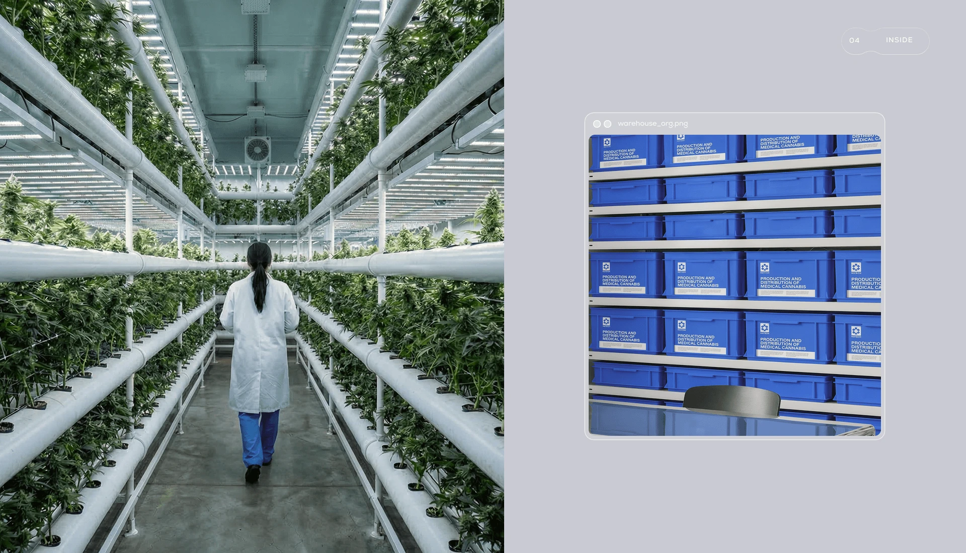 Natech Pharmaceutical — Изображение №14 — Брендинг на Dprofile