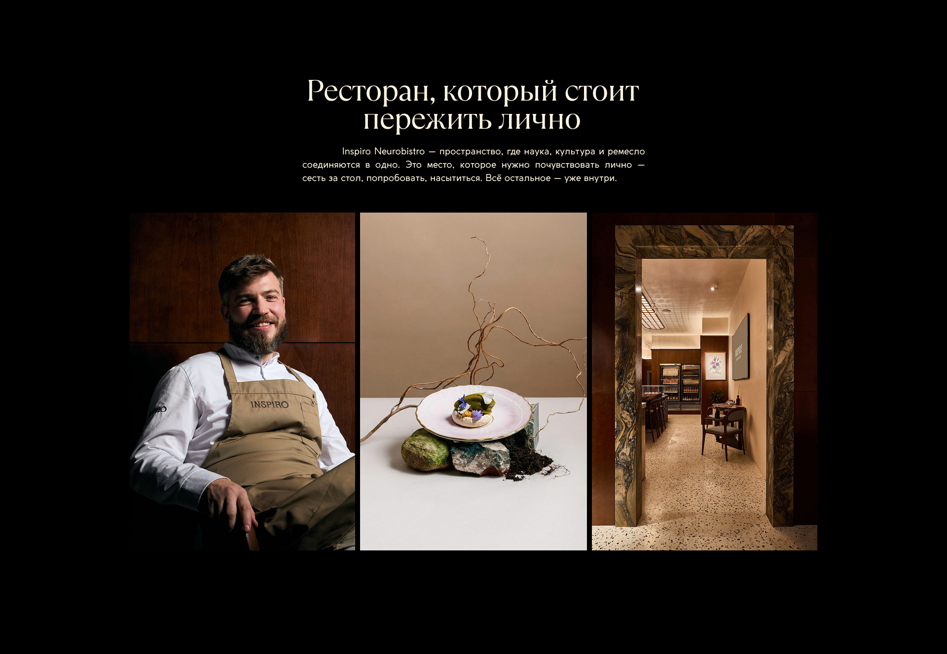 Inspiro Neurobistro — Изображение №16 — Брендинг на Dprofile