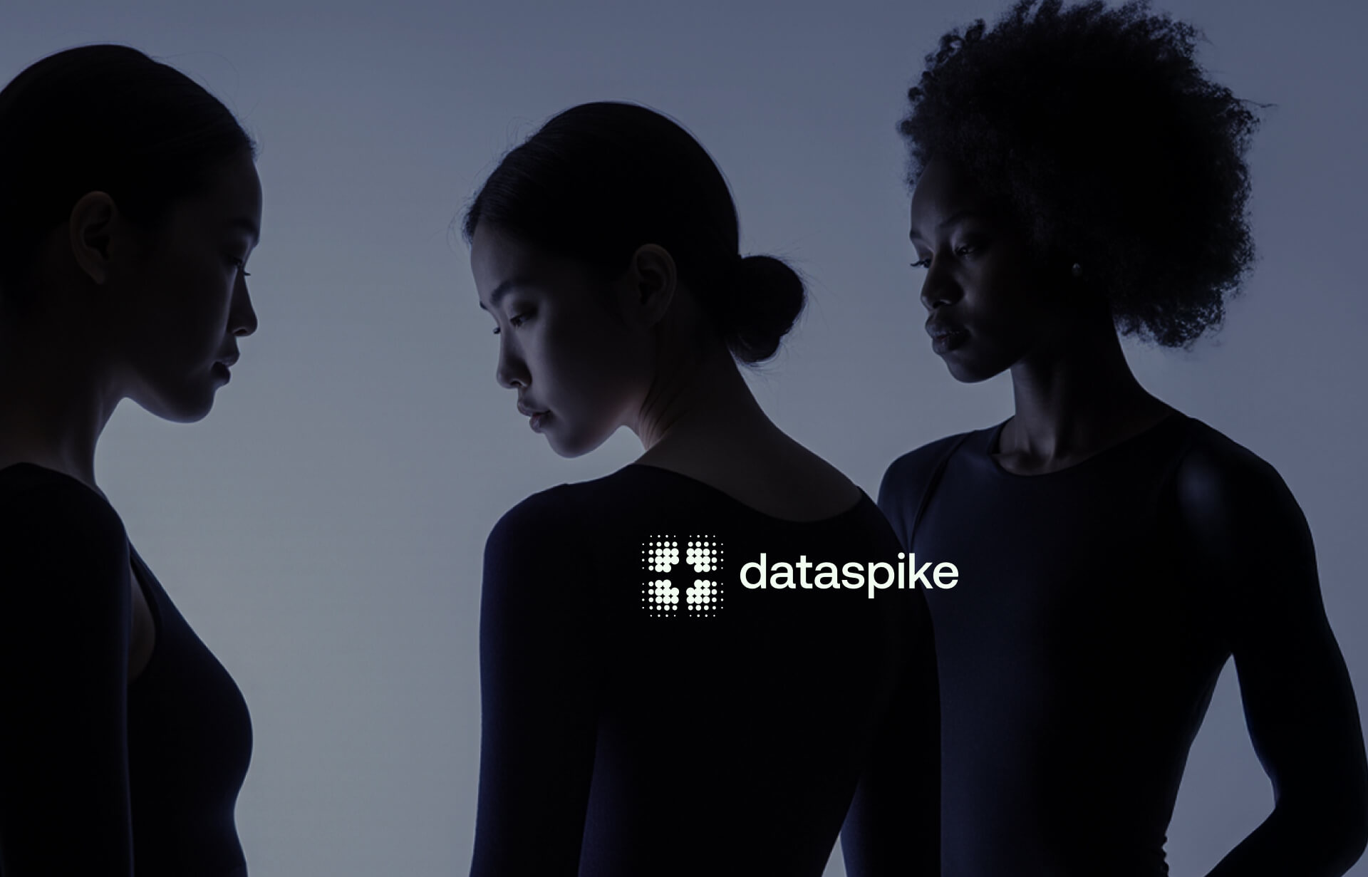 Dataspike. AI-Powered Risk Identification — Изображение №1 — Интерфейсы, Брендинг на Dprofile