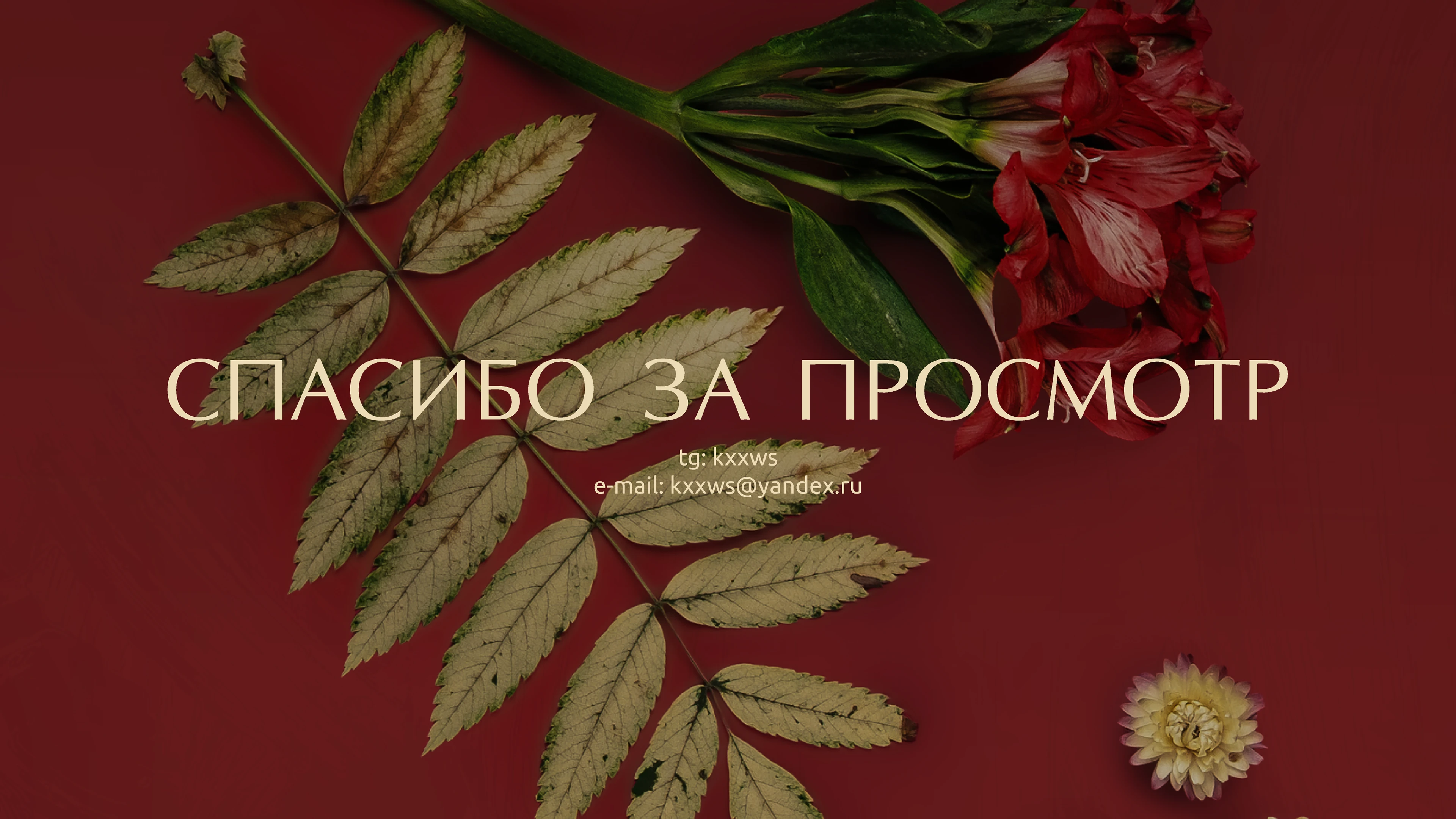 Дизайн меню для ресторана | Japanese restaurant menu — Изображение №7 — Графика, Маркетинг на Dprofile