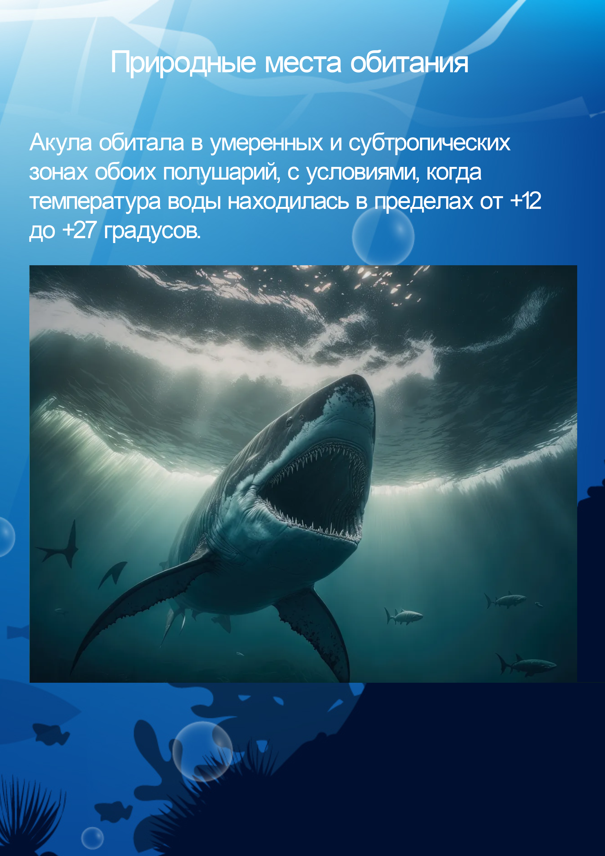мегалодон — Изображение №3 — Графика, Маркетинг на Dprofile