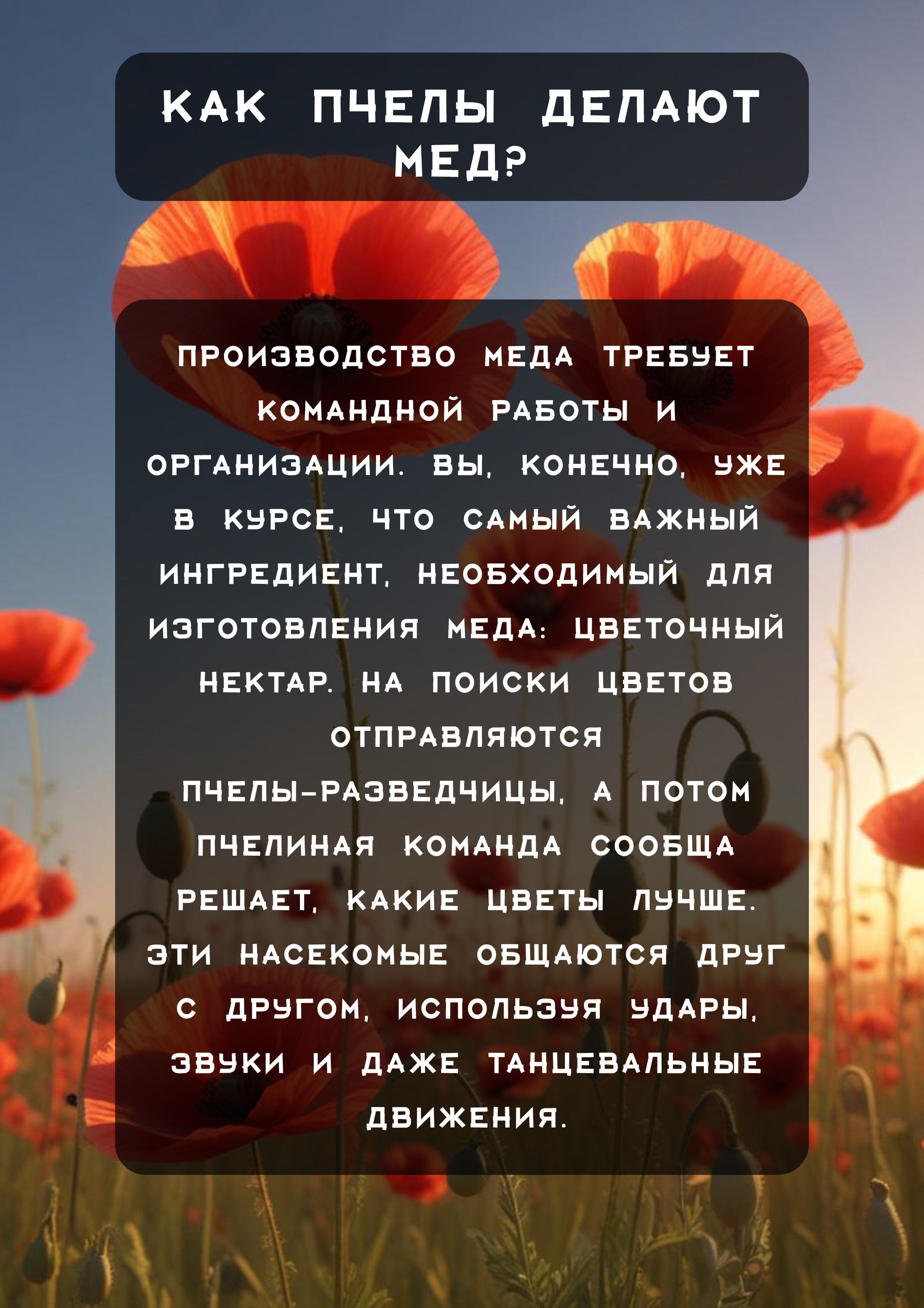 Детская презентация на тему мед — Изображение №2 — Иллюстрация, Графика на Dprofile