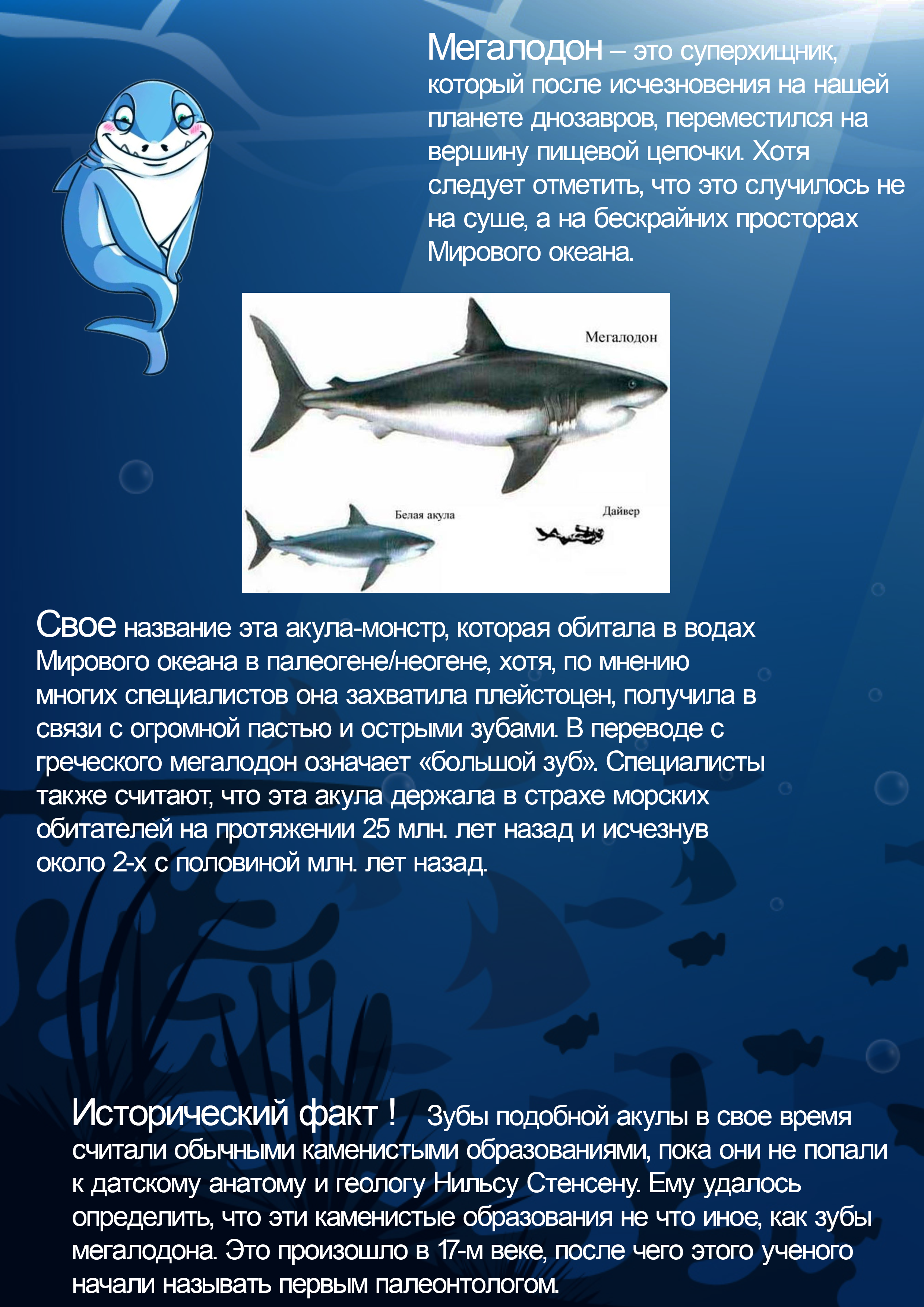 мегалодон — Изображение №2 — Графика, Маркетинг на Dprofile