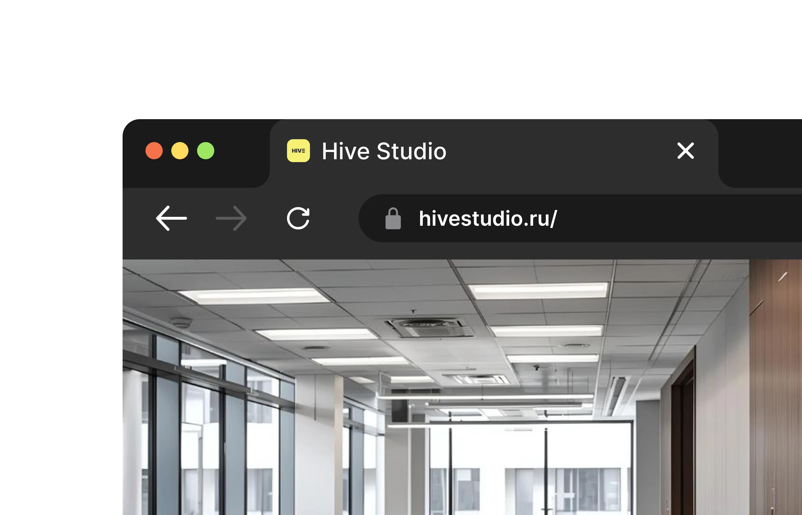 HIVE Studio — Brand Identity — Изображение №12 — Брендинг на Dprofile