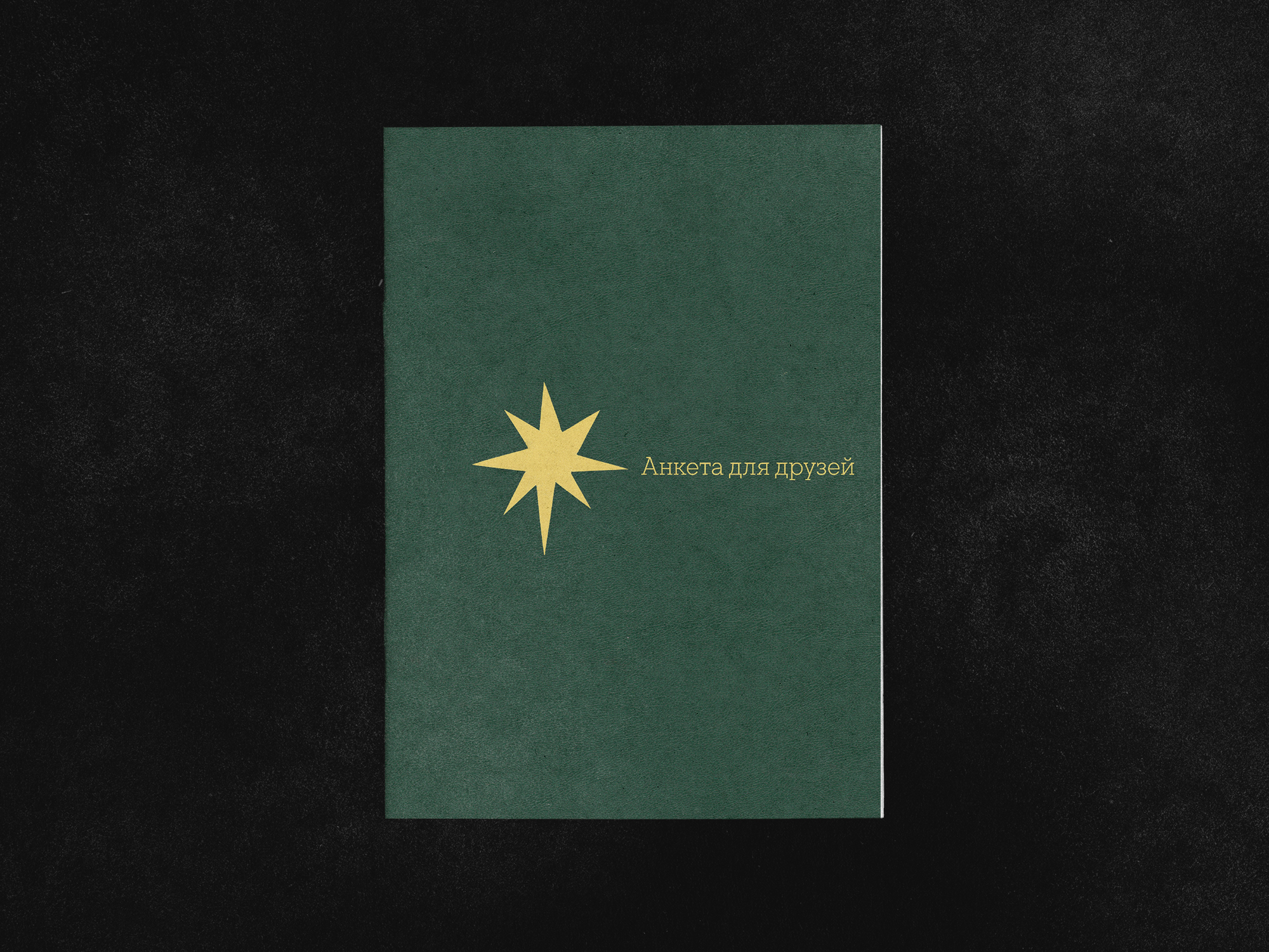 Зин "Анкета для друзей" — Изображение №2 — Графика на Dprofile