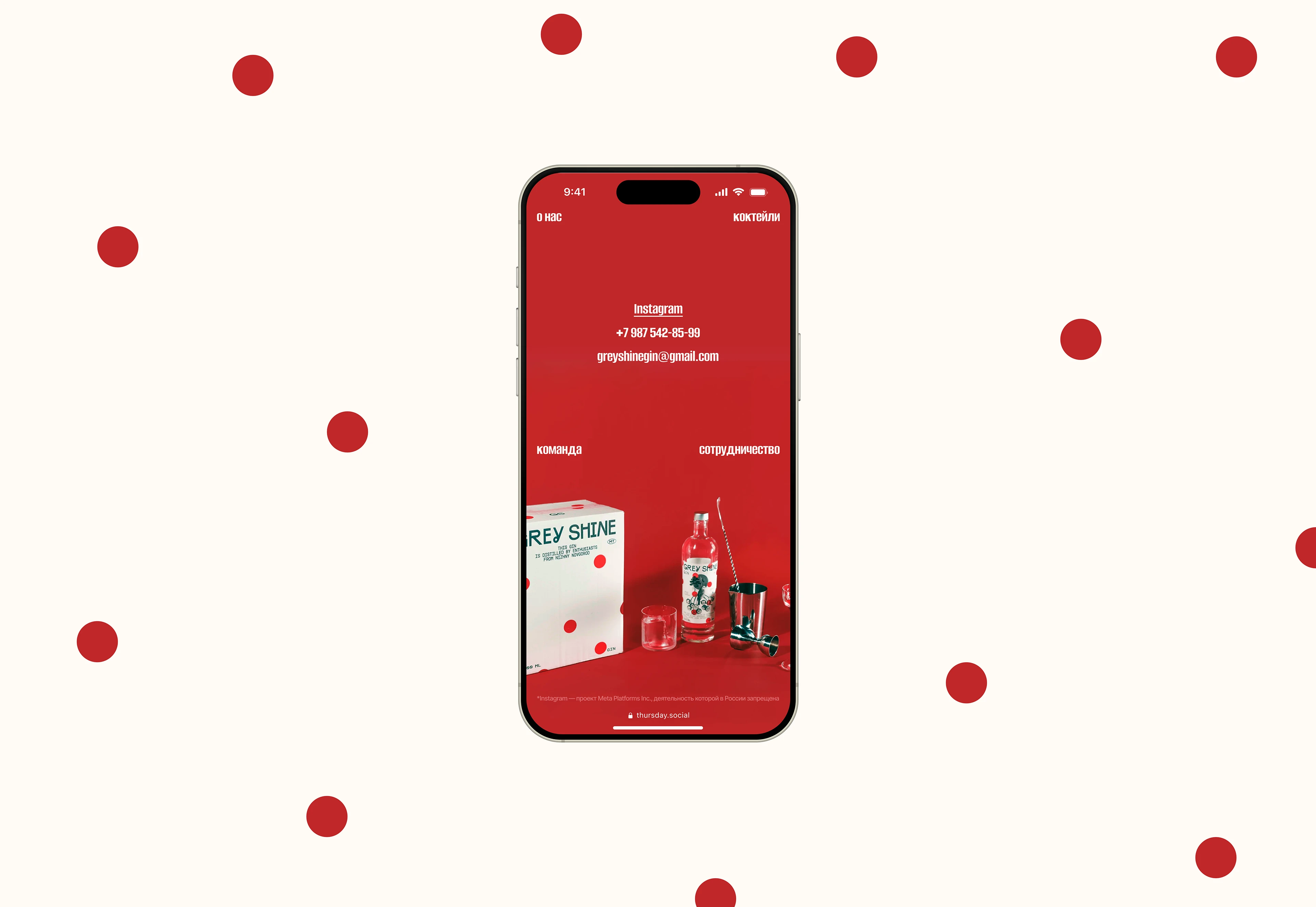 GREY SHINE — Изображение №10 — Интерфейсы, Брендинг на Dprofile