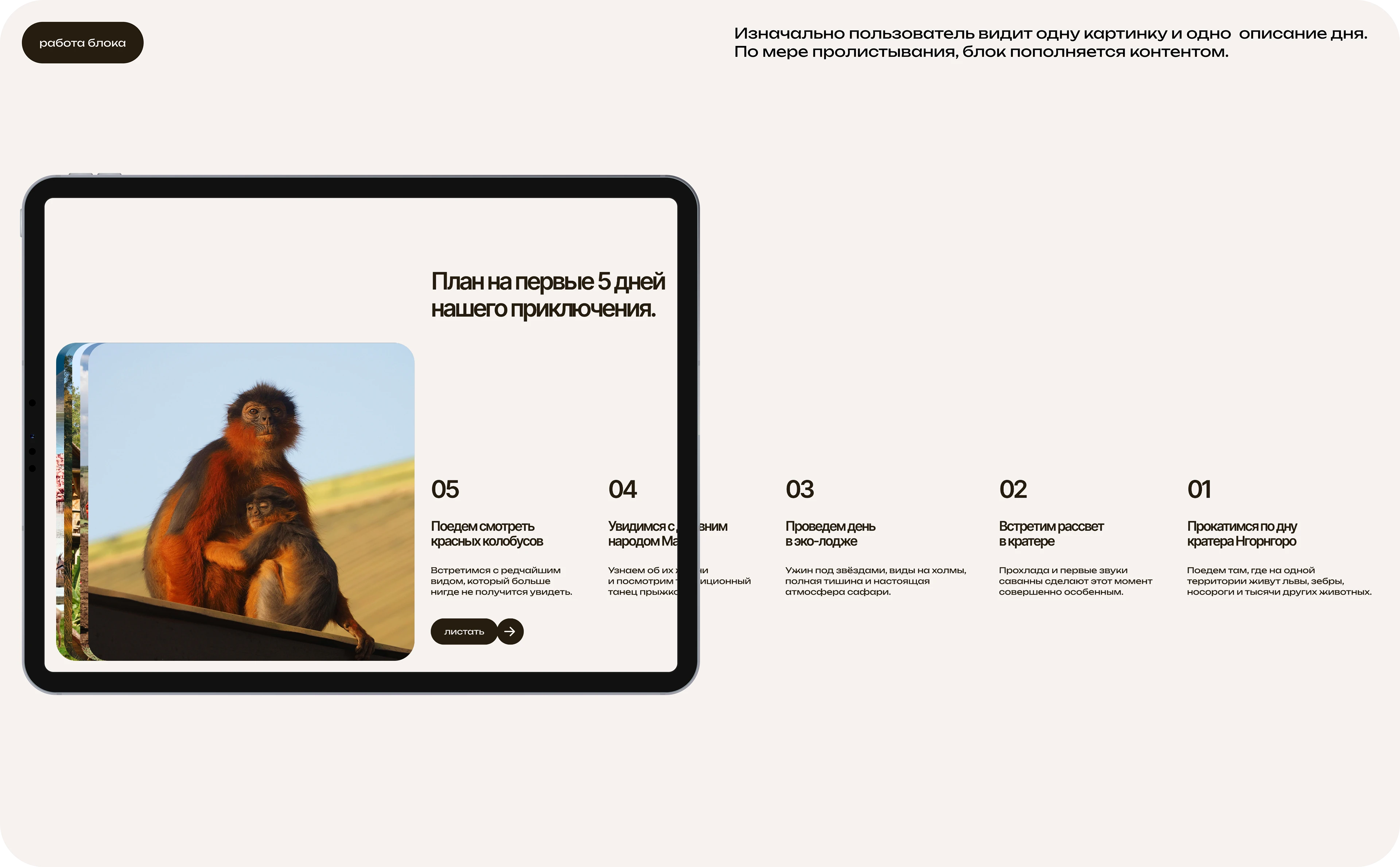 AKUNA MATATA — Изображение №3 — Интерфейсы, Анимация на Dprofile