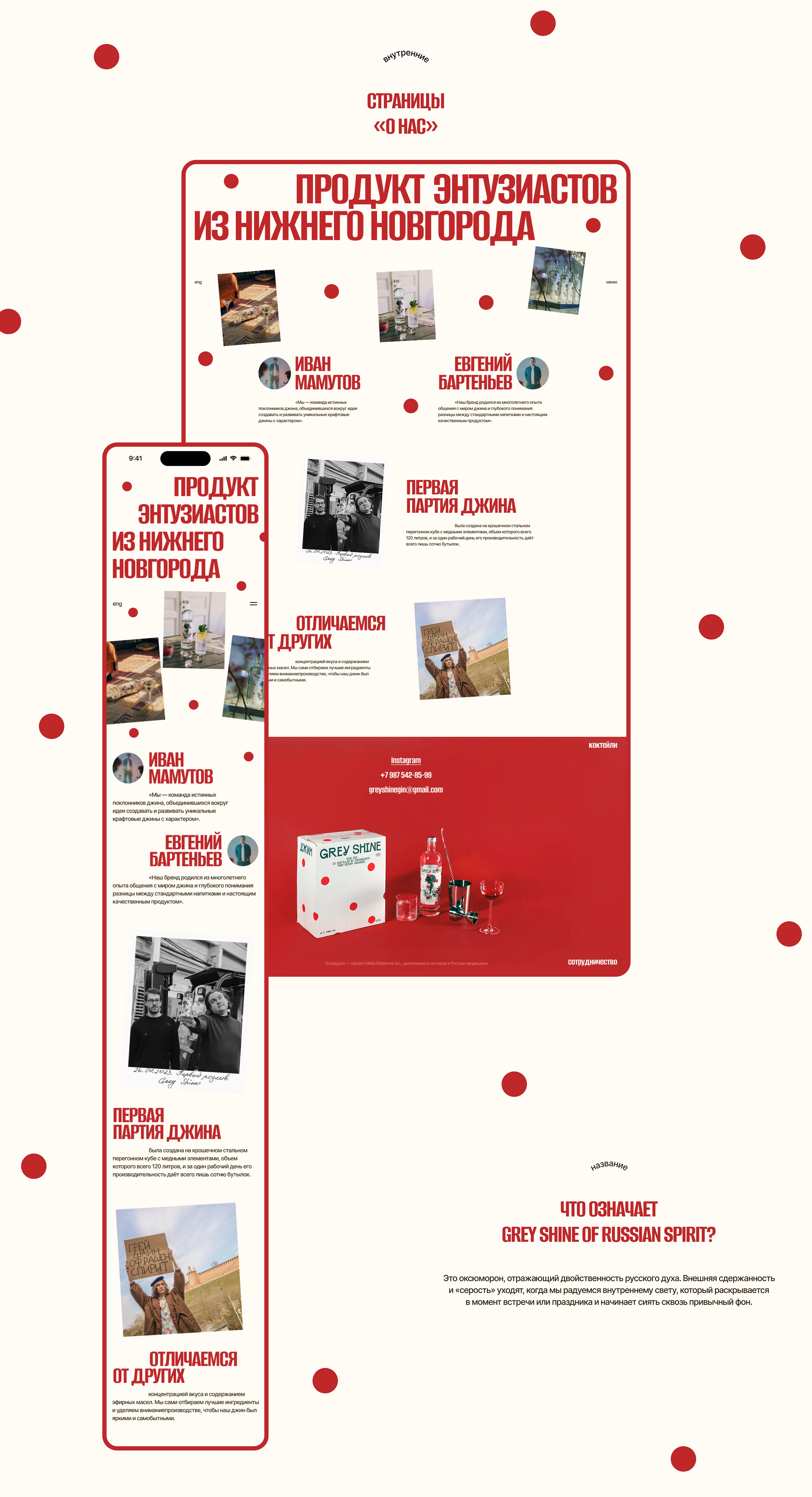 GREY SHINE — Изображение №4 — Интерфейсы, Брендинг на Dprofile