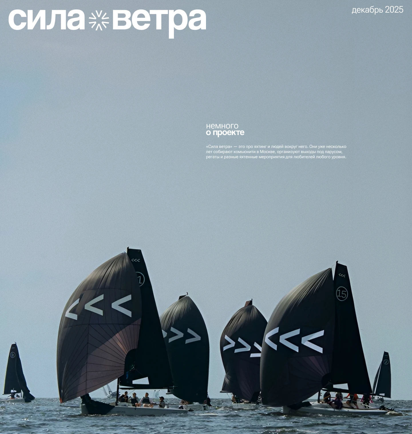 сила ветра — Изображение №1 — Интерфейсы, Брендинг на Dprofile