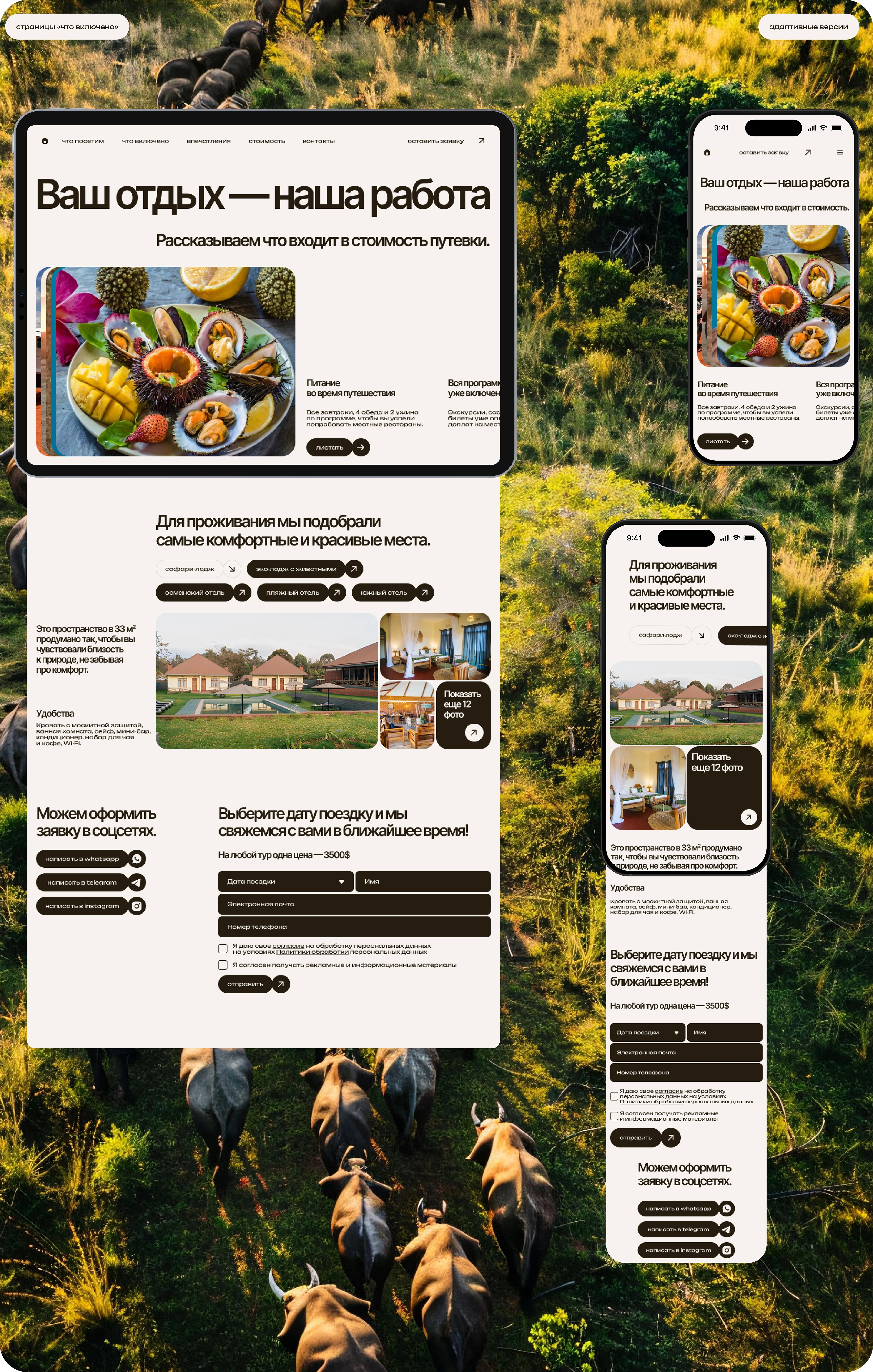 AKUNA MATATA — Изображение №11 — Интерфейсы, Анимация на Dprofile