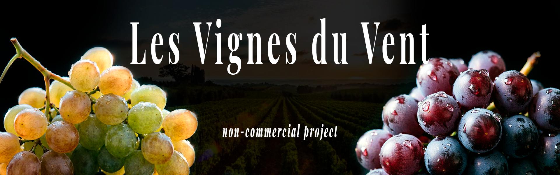 Les Vignes du Vent | 3D-визуализация вина и симуляция жидкости — Изображение №1 — 3D, Анимация на Dprofile