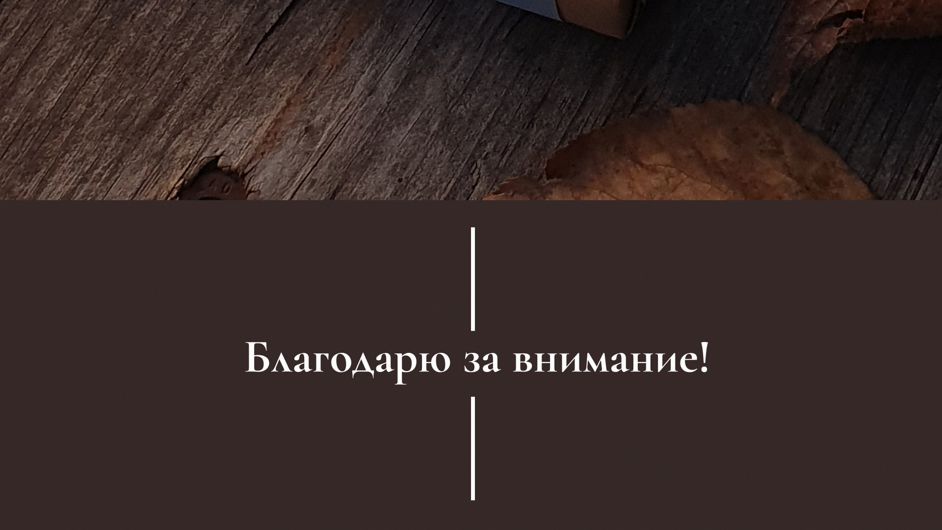 .handmade soap. — Изображение №14 — Брендинг на Dprofile