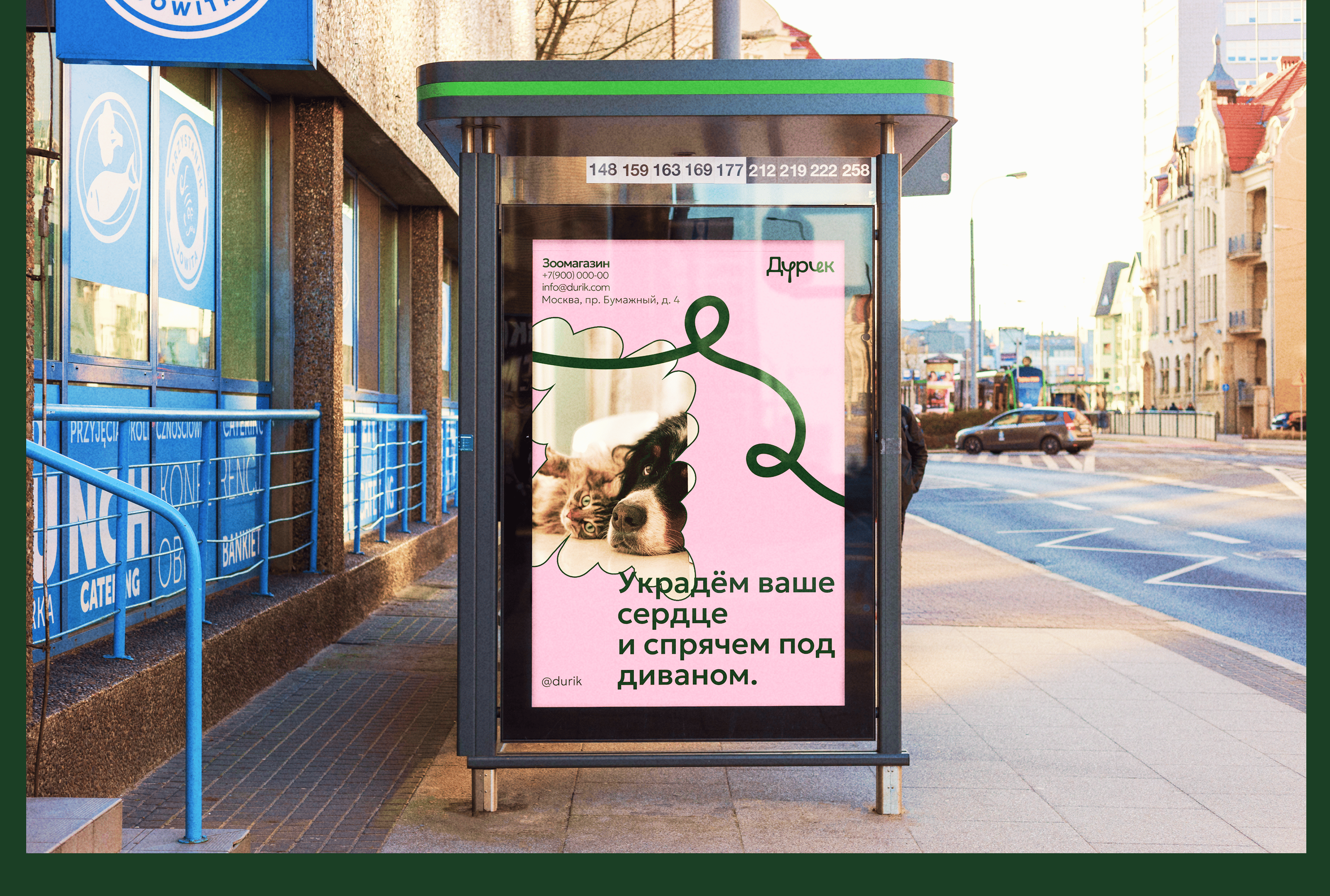 ДУРИК | Брендинг для зоомагазина — Изображение №6 — Брендинг на Dprofile