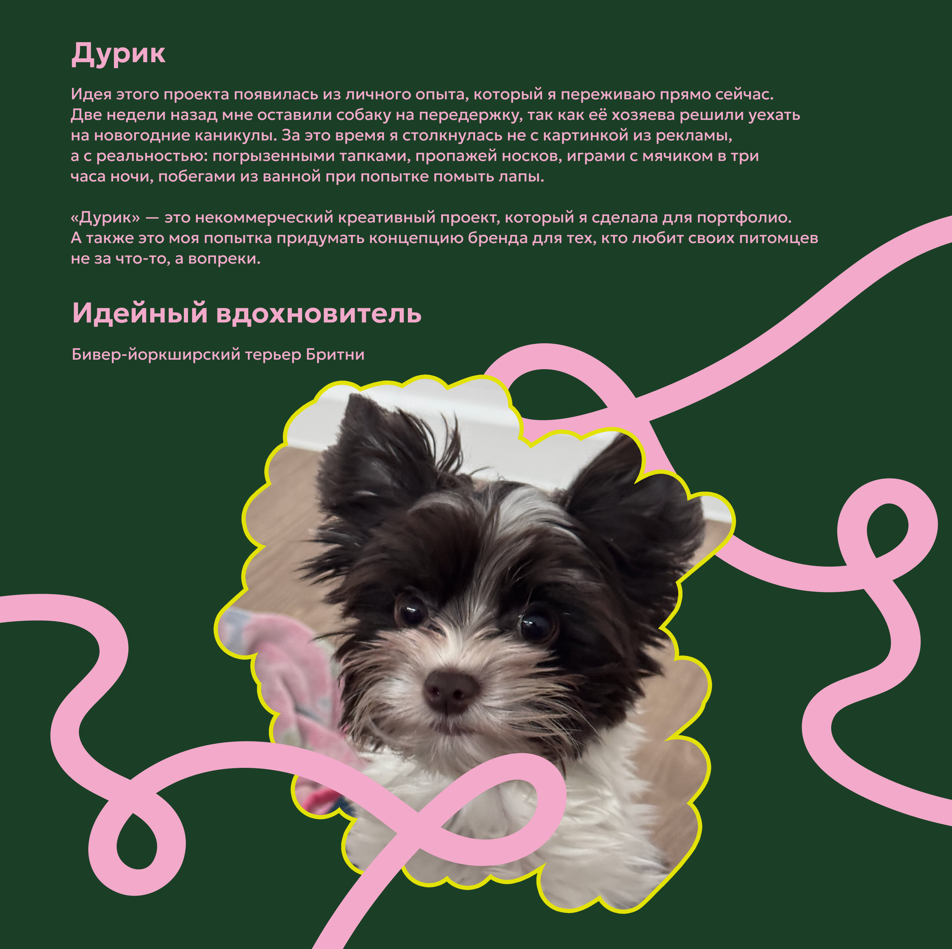 ДУРИК | Брендинг для зоомагазина — Изображение №2 — Брендинг на Dprofile