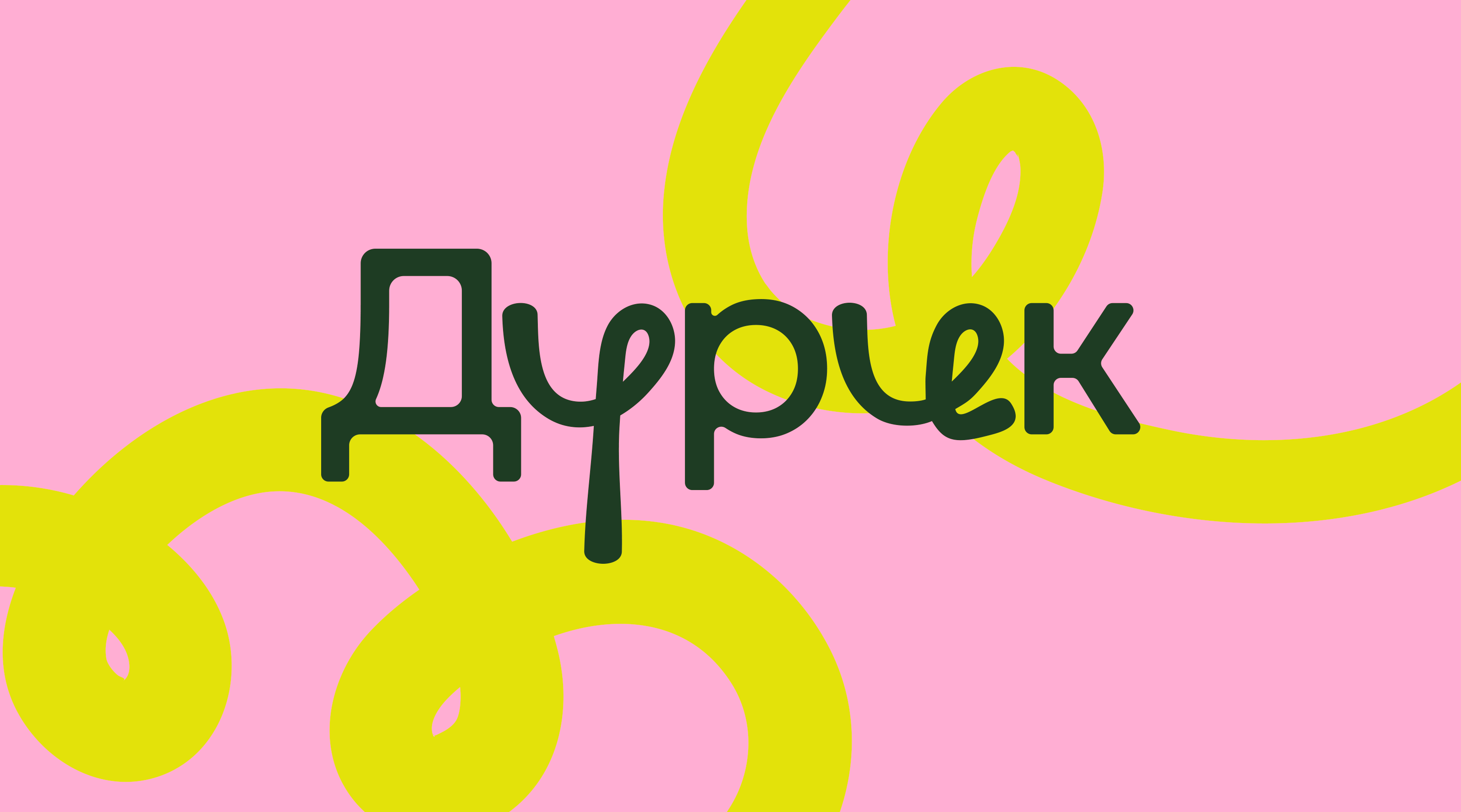 ДУРИК | Брендинг для зоомагазина — Изображение №1 — Брендинг на Dprofile