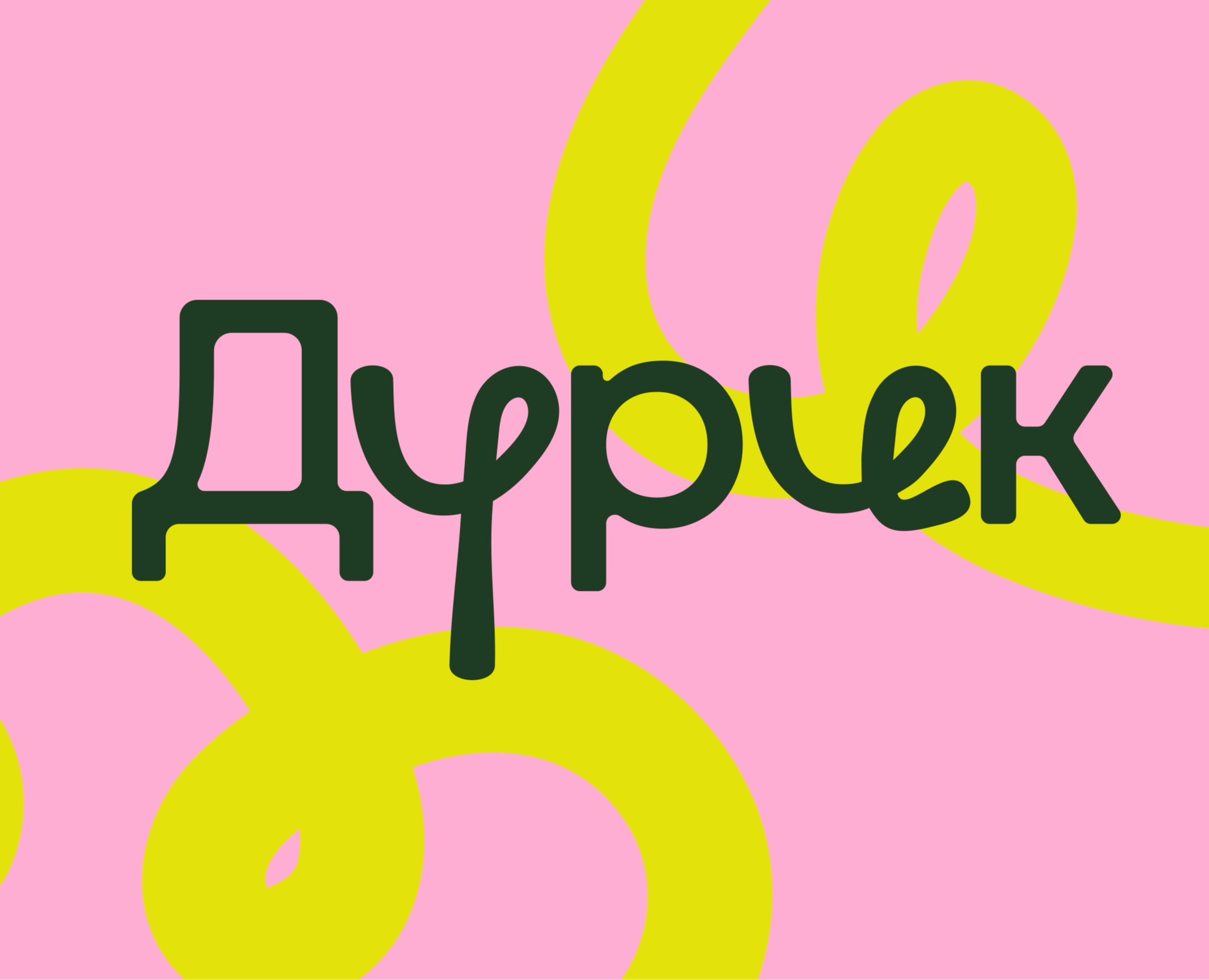 ДУРИК | Брендинг для зоомагазина — Брендинг на Dprofile