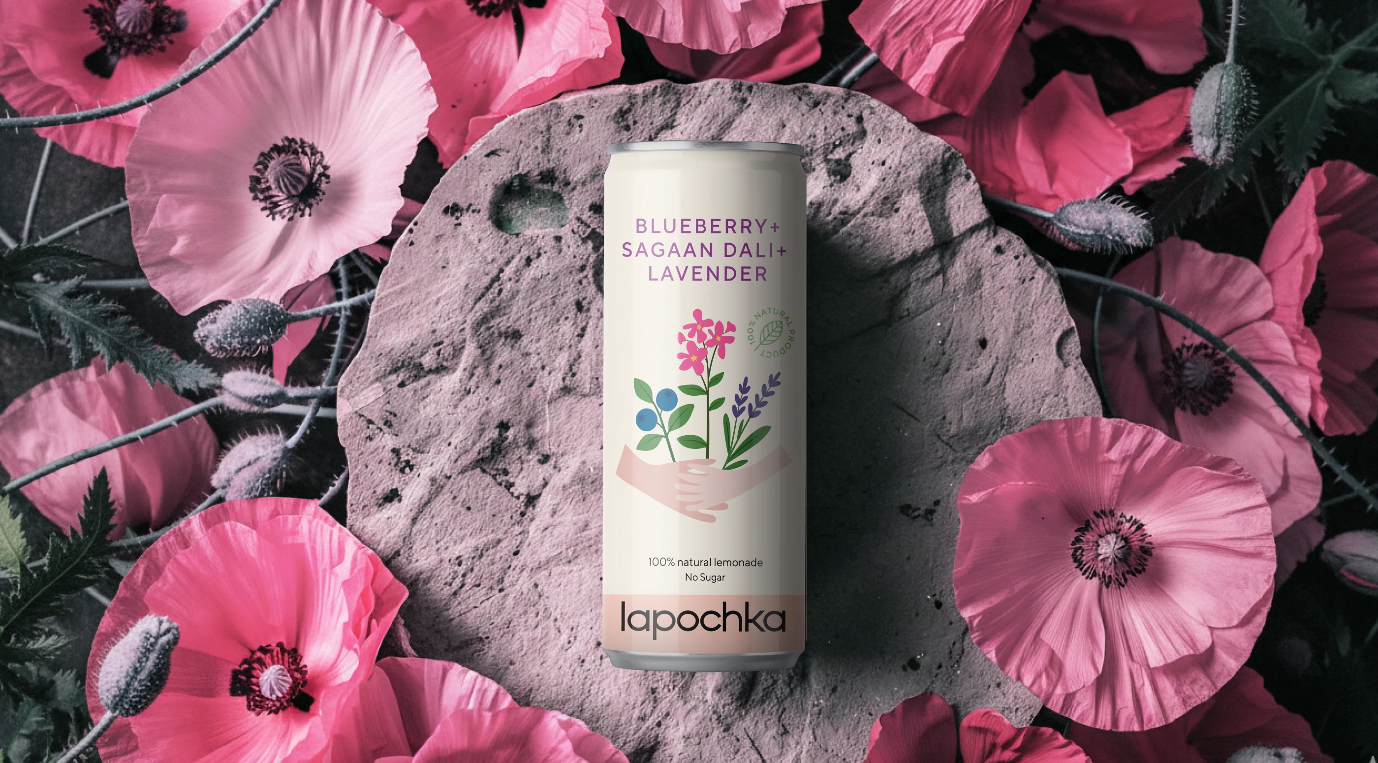 Дизайн упаковки для лимонада | Lapochka × Endy — Изображение №7 — Брендинг, Иллюстрация на Dprofile