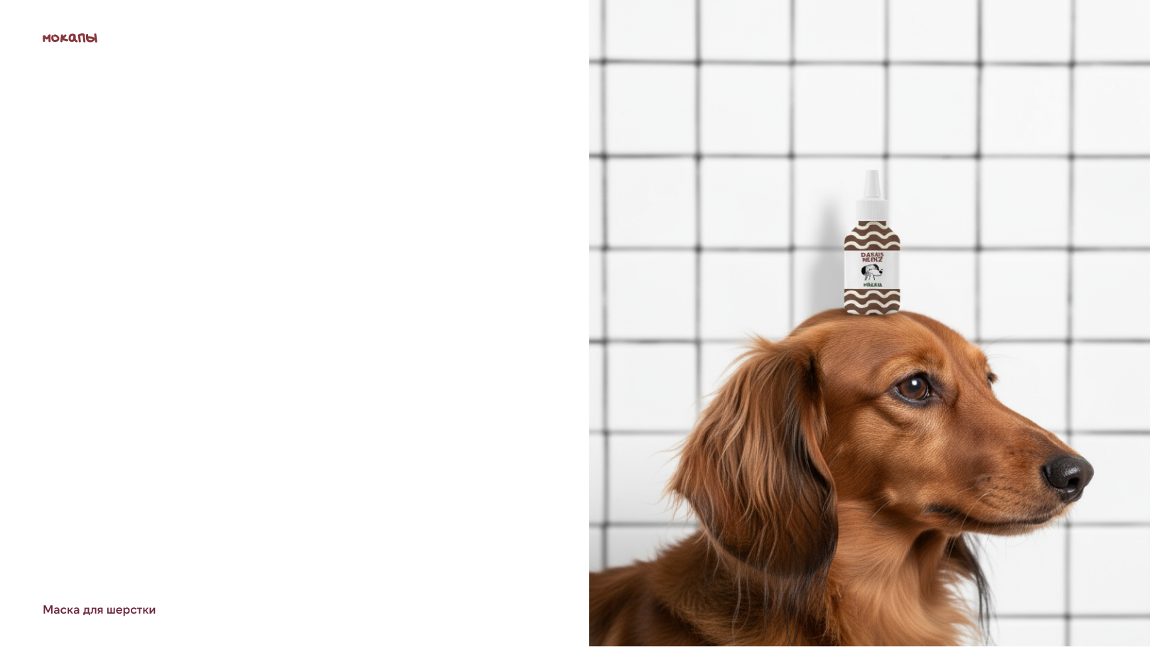 Фирменный стиль для DACHSHEINZ — Изображение №12 — Брендинг на Dprofile