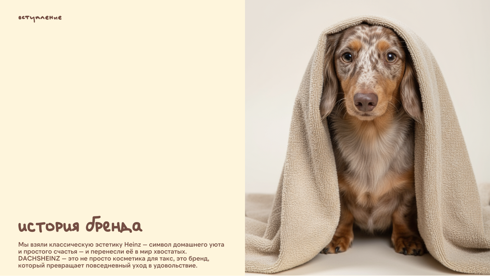 Фирменный стиль для DACHSHEINZ — Изображение №2 — Брендинг на Dprofile