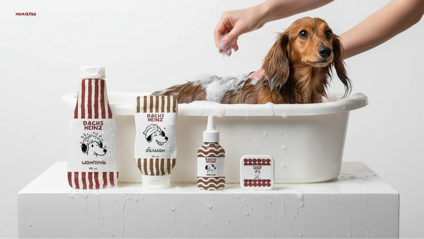 Фирменный стиль для DACHSHEINZ — Изображение №10 — Брендинг на Dprofile