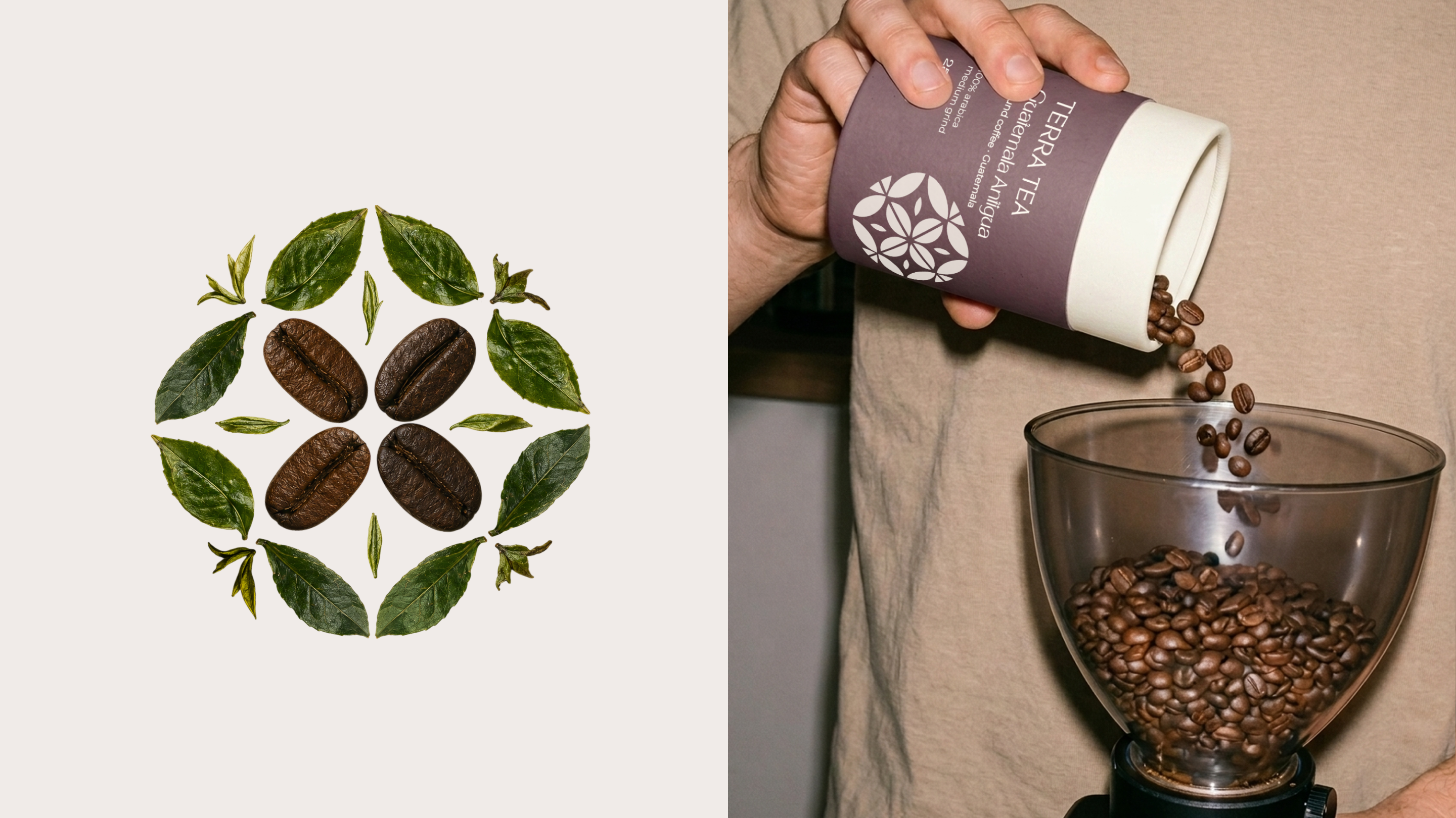 TERRA TEA - Фирменный стиль и дизайн упаковки — Изображение №5 — Брендинг на Dprofile
