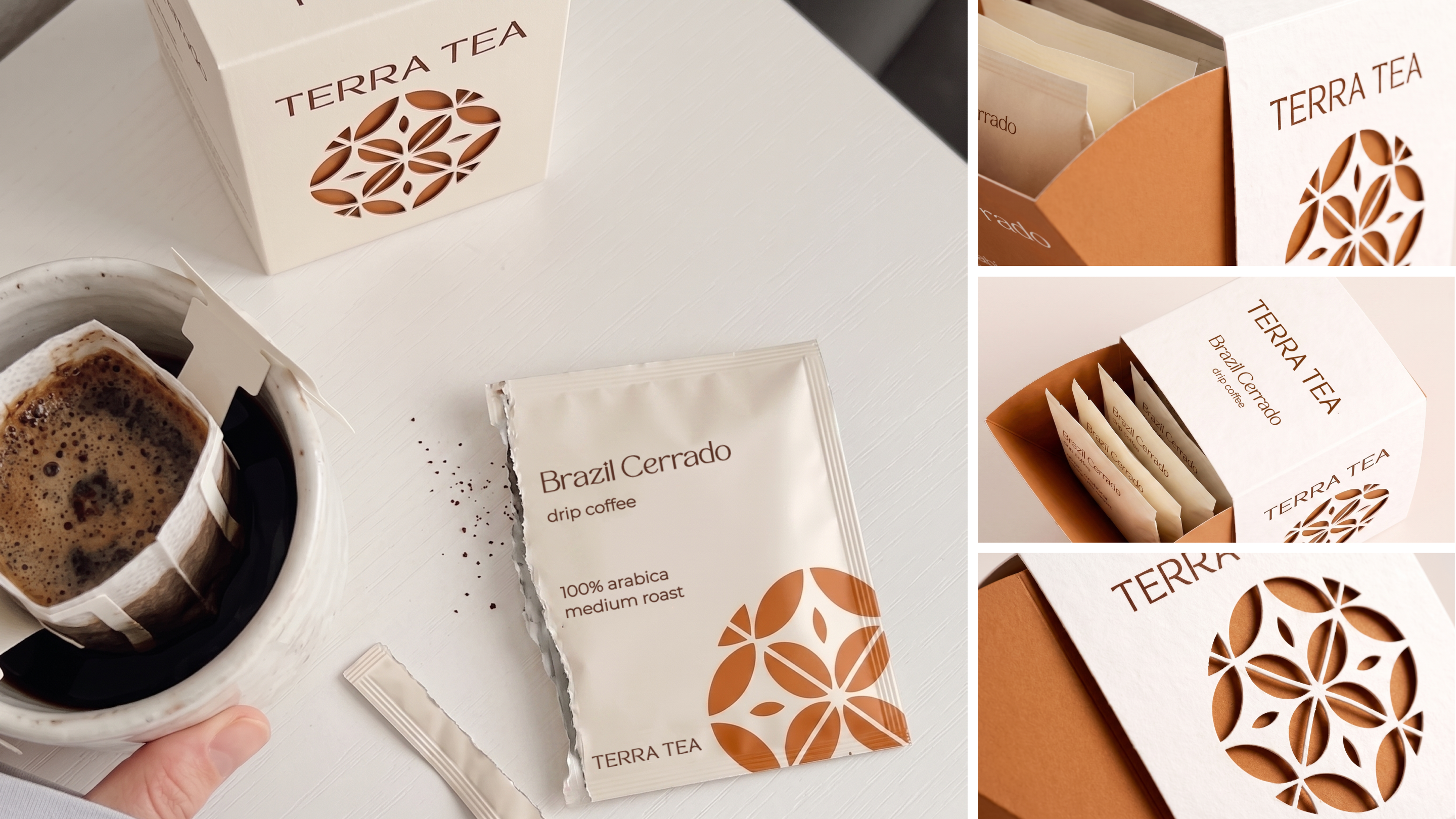 TERRA TEA - Фирменный стиль и дизайн упаковки — Изображение №7 — Брендинг на Dprofile