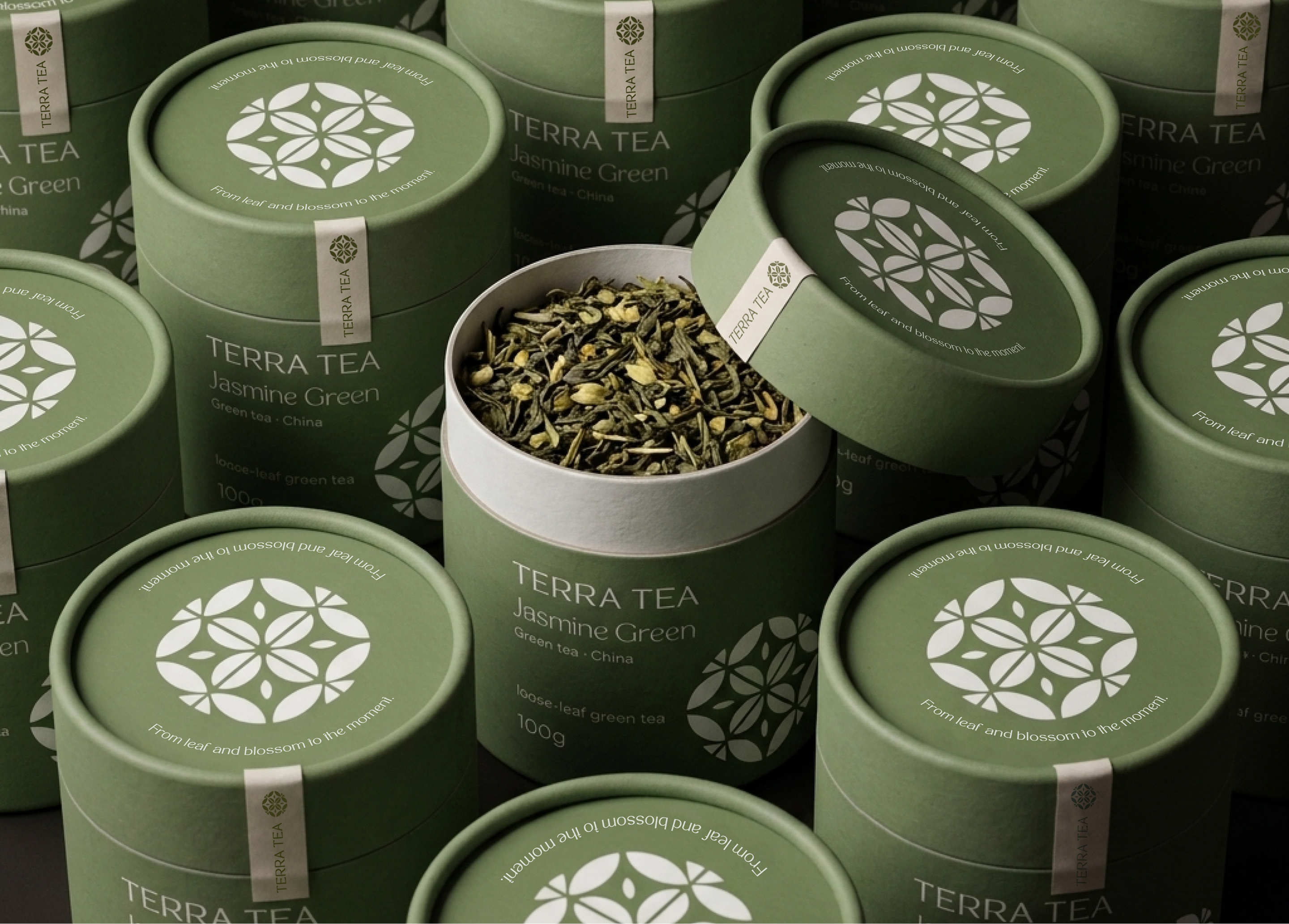 TERRA TEA - Фирменный стиль и дизайн упаковки — Изображение №16 — Брендинг на Dprofile