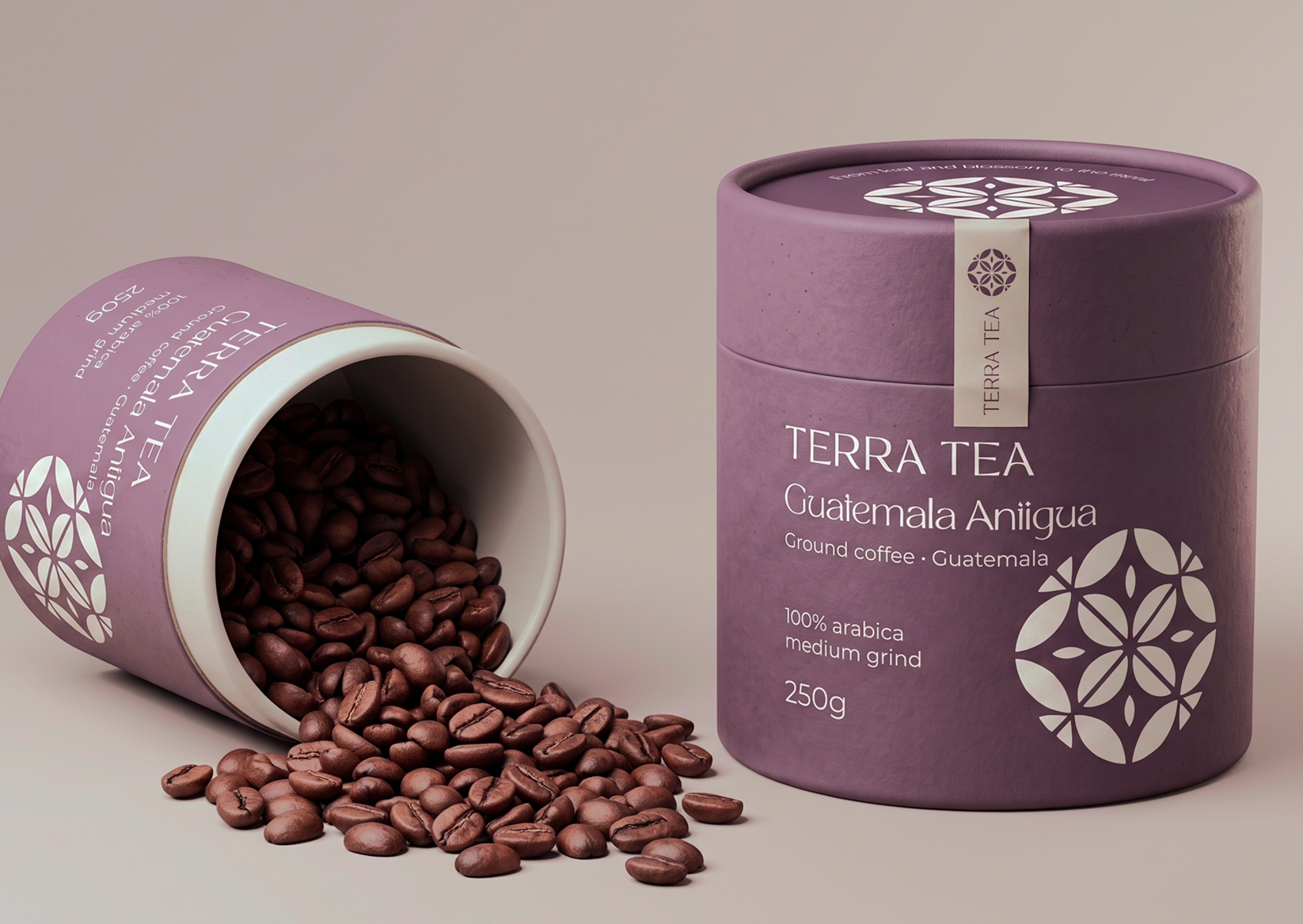 TERRA TEA - Фирменный стиль и дизайн упаковки — Изображение №13 — Брендинг на Dprofile
