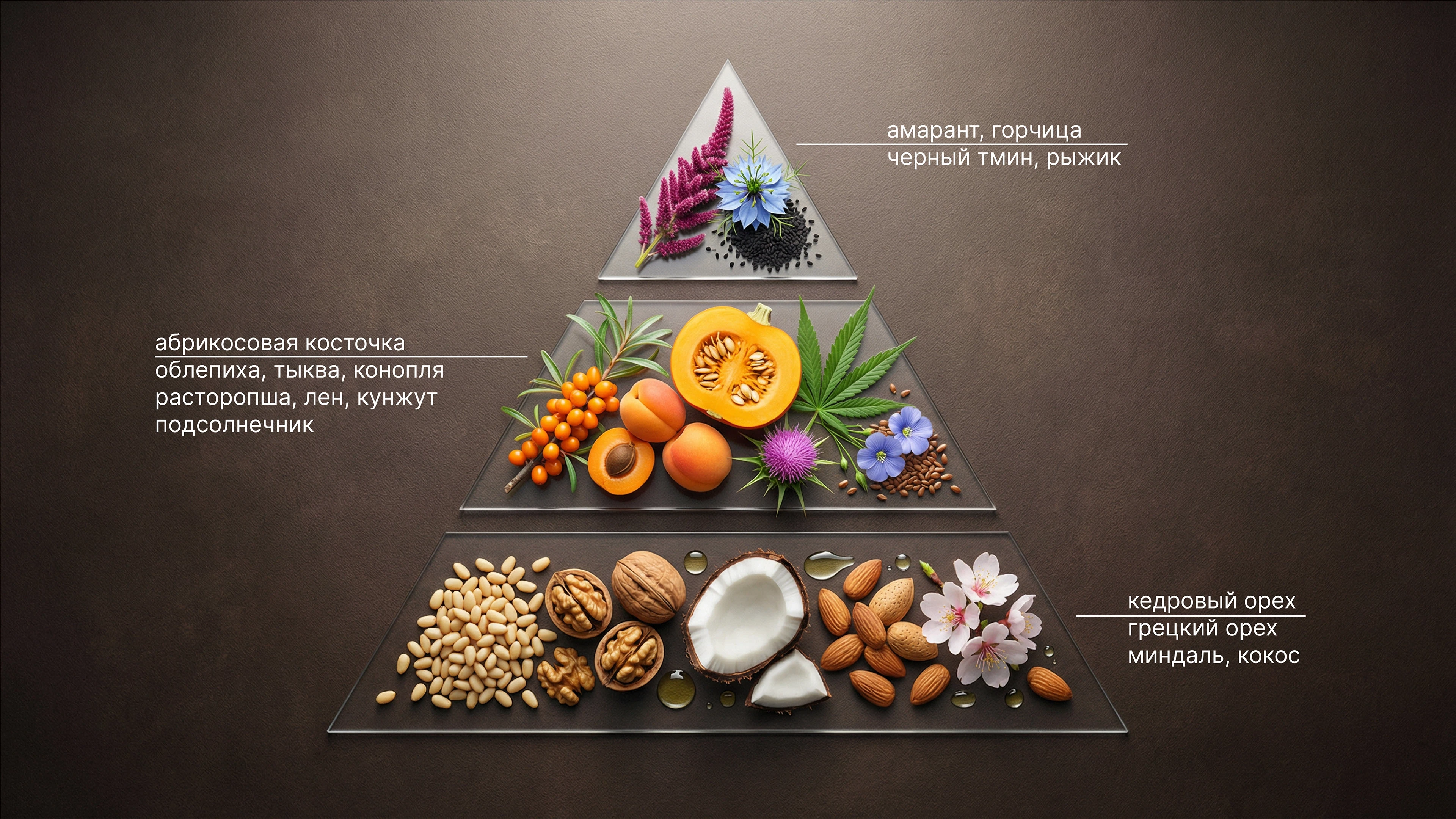 Логотип и дизайн этикеток для сыродавленых масел — Изображение №13 — Брендинг на Dprofile