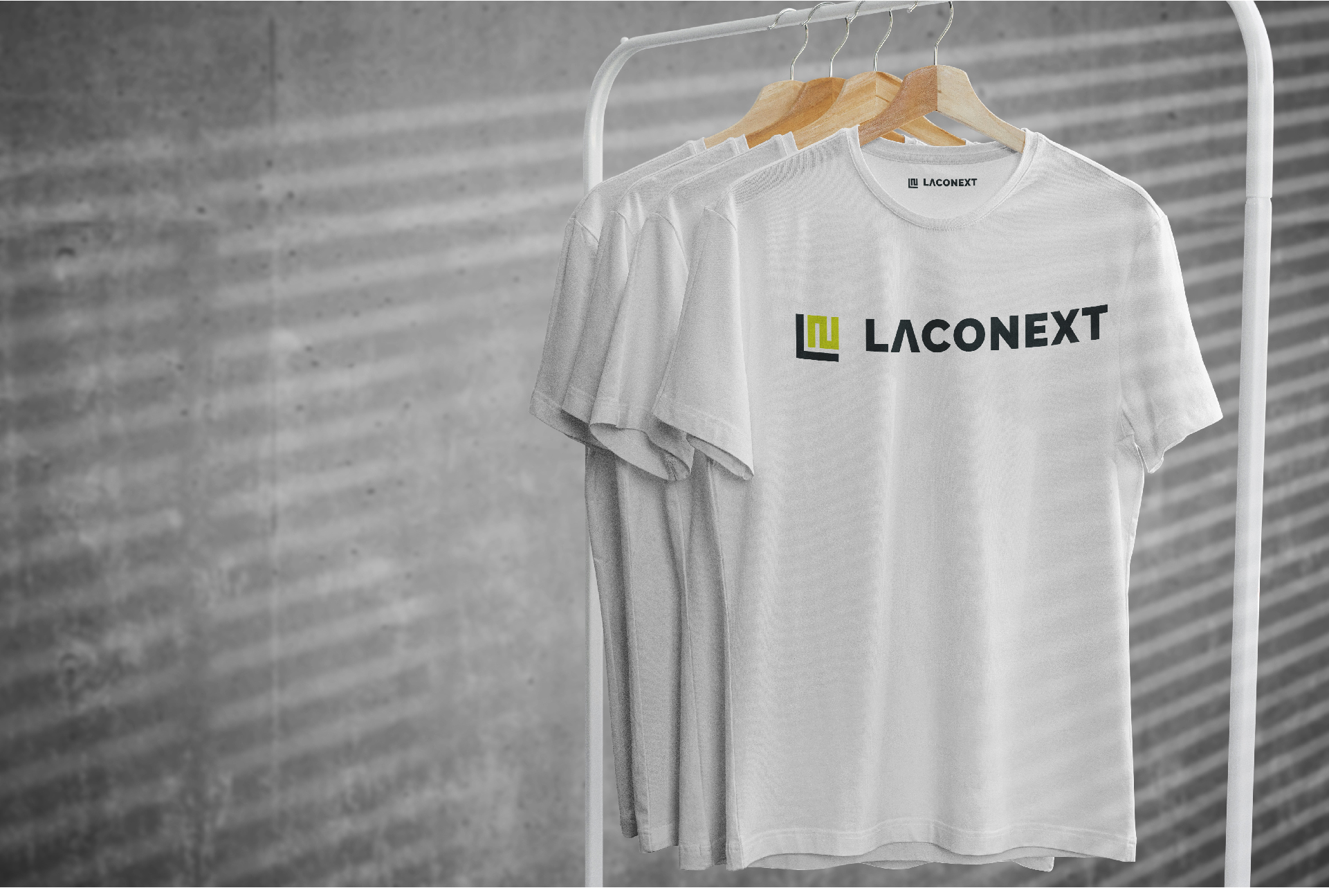 Фирменный стиль. Нейминг для бренда одежды Laconext. — Изображение №10 — Брендинг на Dprofile