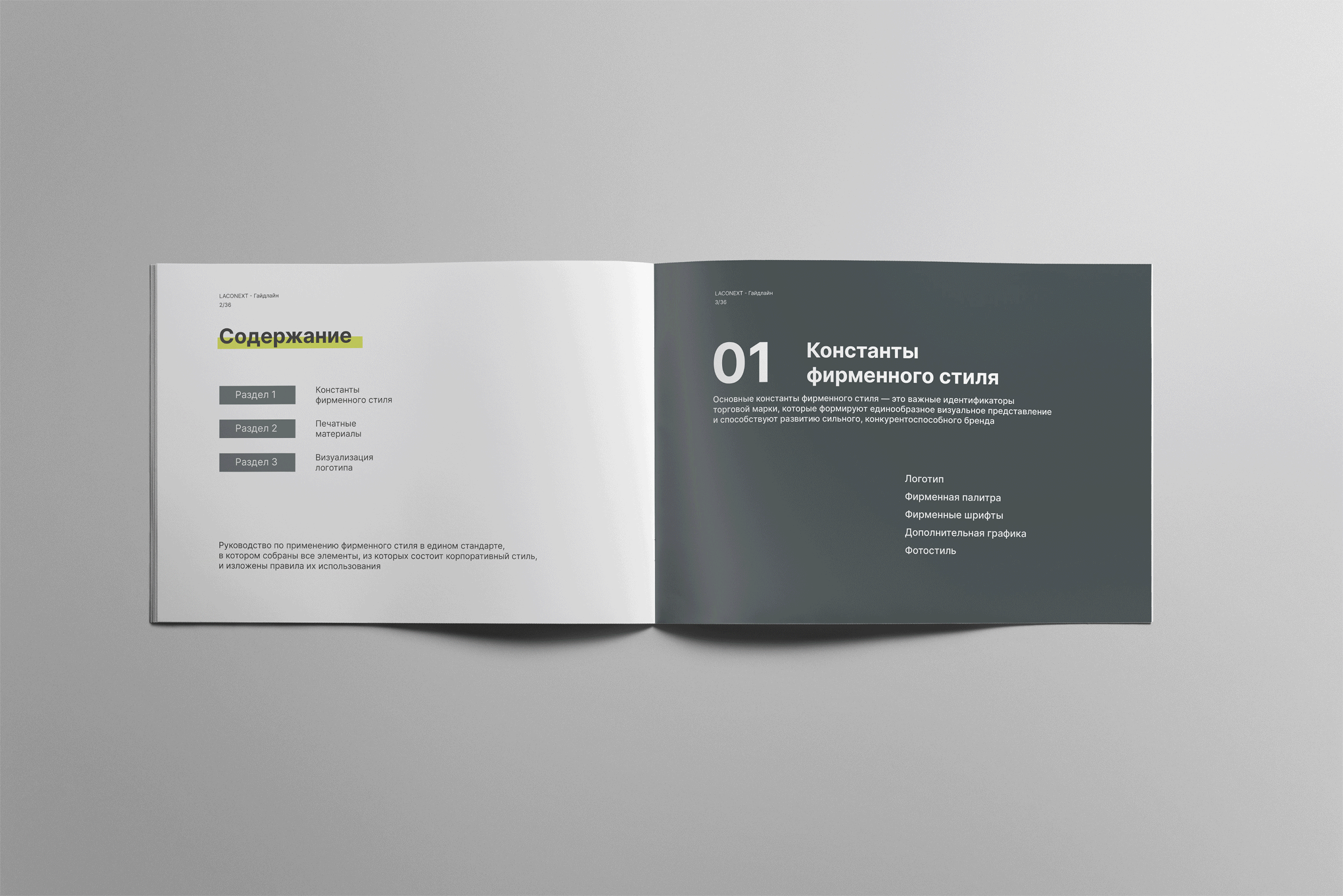 Фирменный стиль. Нейминг для бренда одежды Laconext. — Изображение №16 — Брендинг на Dprofile