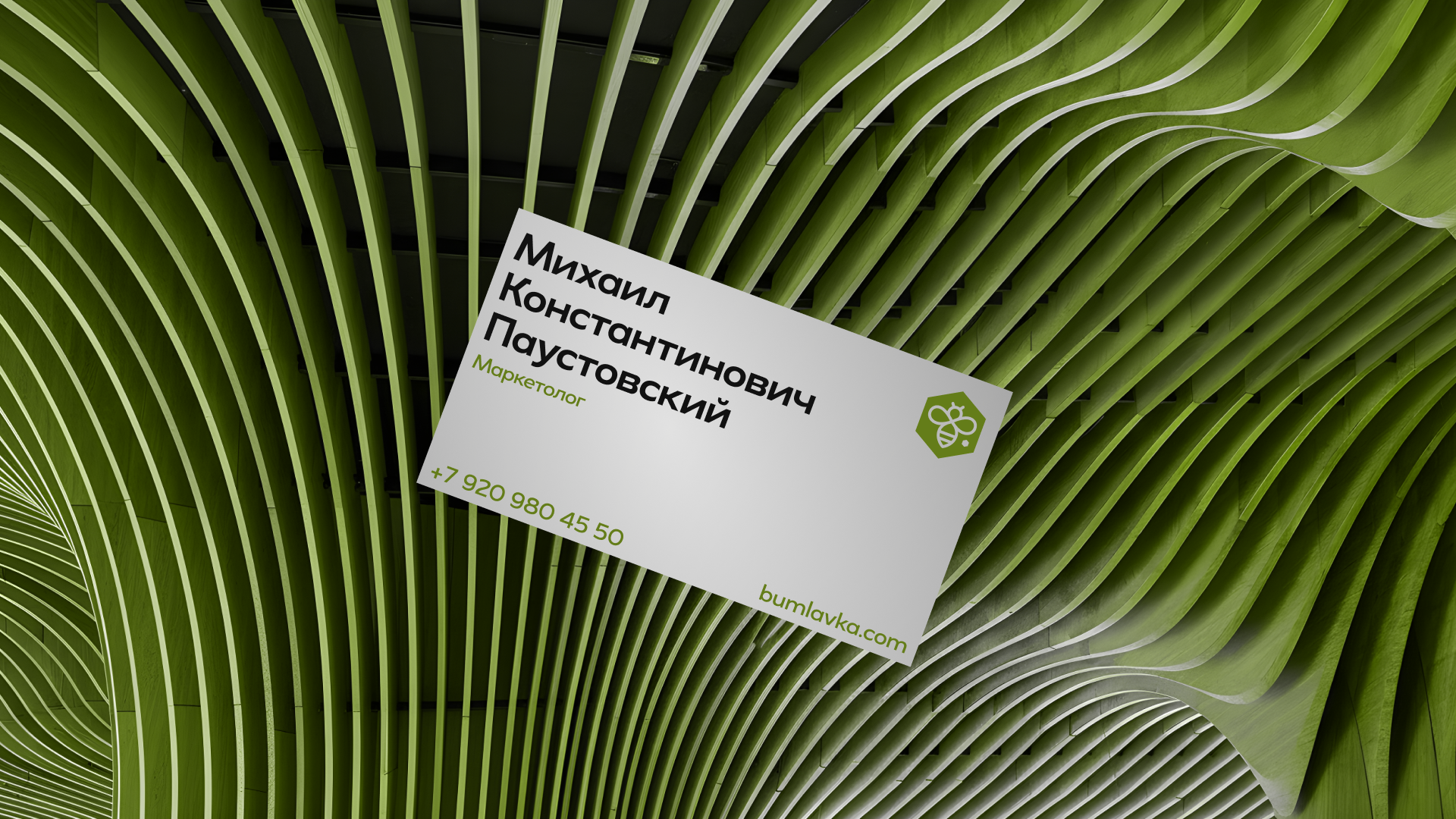 Бум.лавка — онлайн-магазина экологичной упаковки — Изображение №4 — Интерфейсы, Брендинг на Dprofile