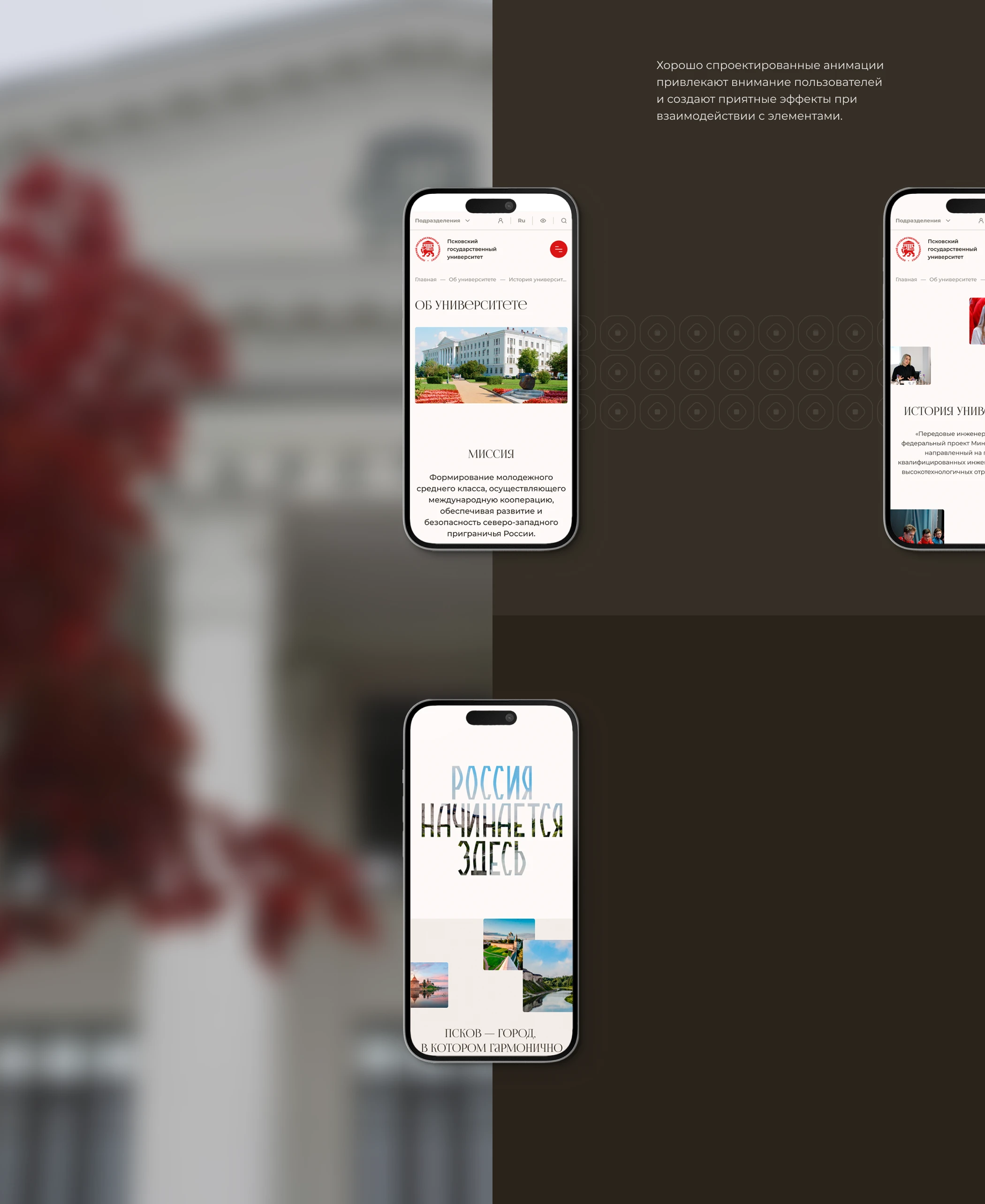 ПсковГУ: Основной сайт — Изображение №7 — Интерфейсы на Dprofile