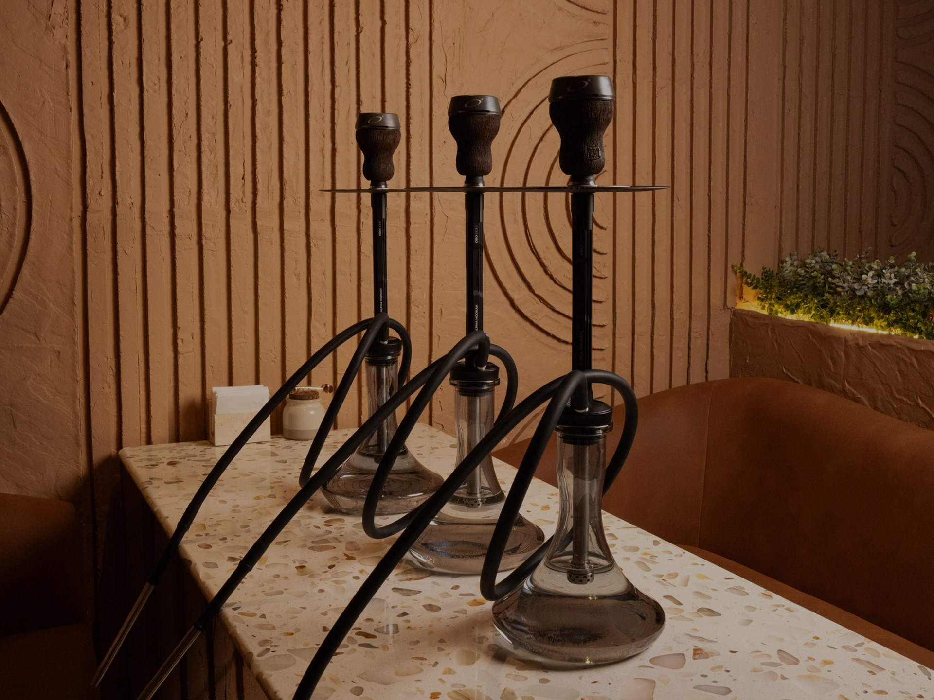 CIRCLE® Сеть кальянных — Изображение №1 — Брендинг, Анимация на Dprofile