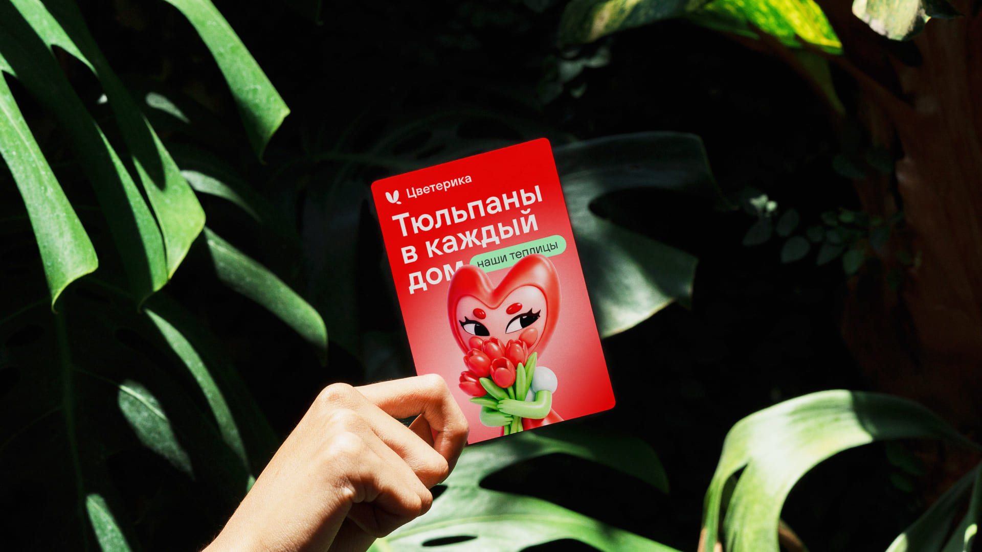 Цветерика — Изображение №8 — Брендинг на Dprofile