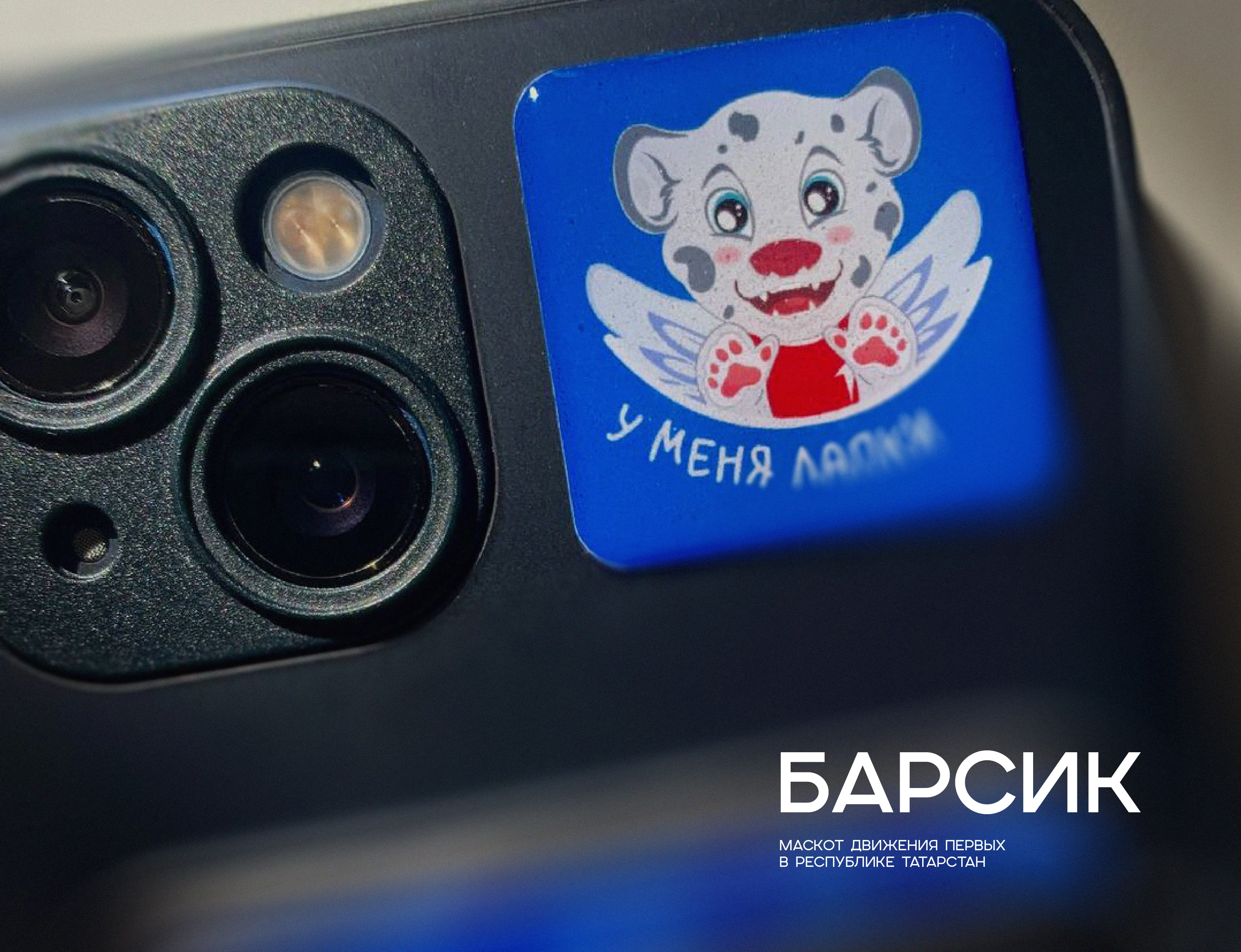 Маскот Движения Первых РТ — Изображение №1 — Брендинг, Иллюстрация на Dprofile