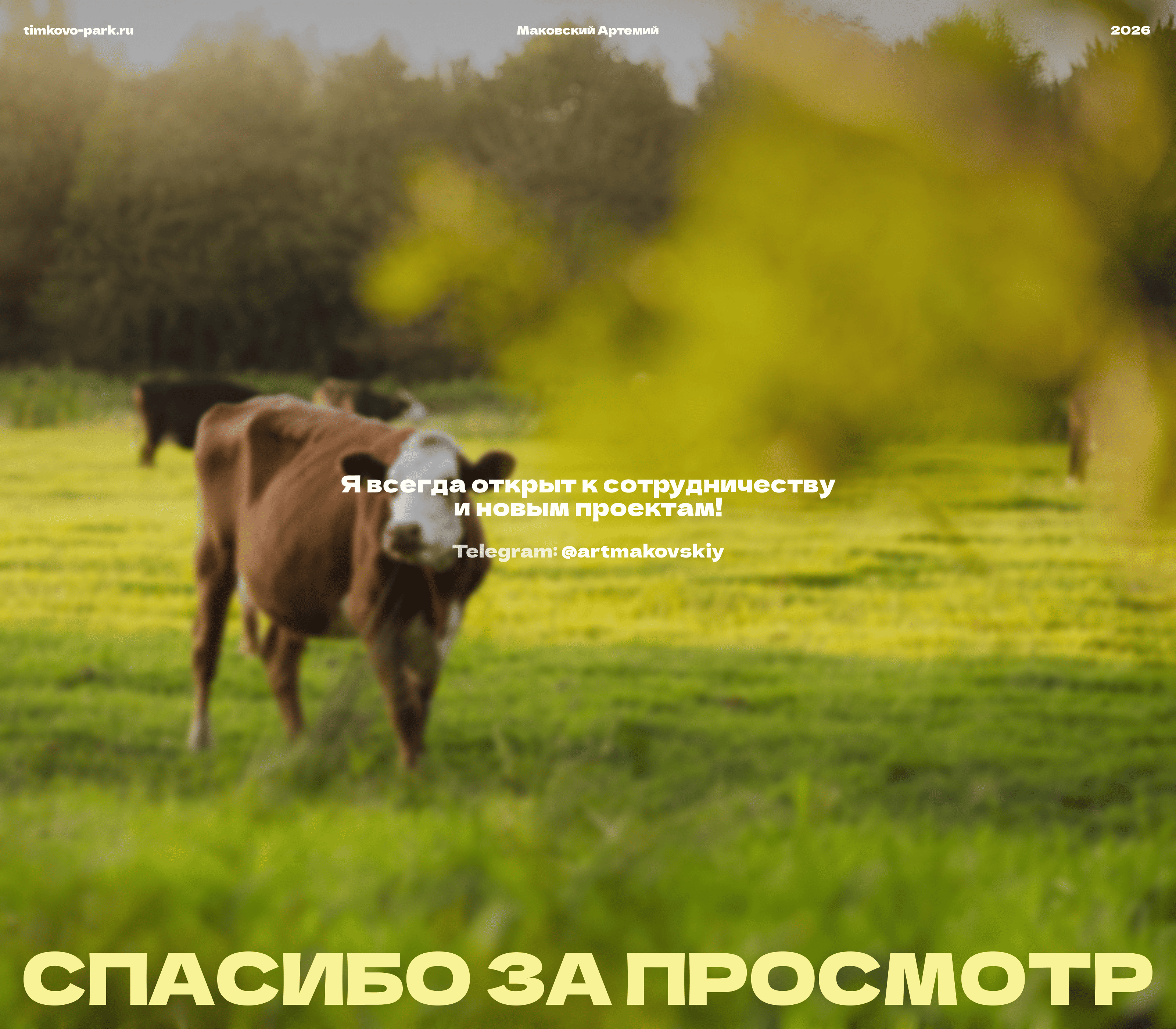 Тимково Парк — Изображение №10 — Интерфейсы, Анимация на Dprofile