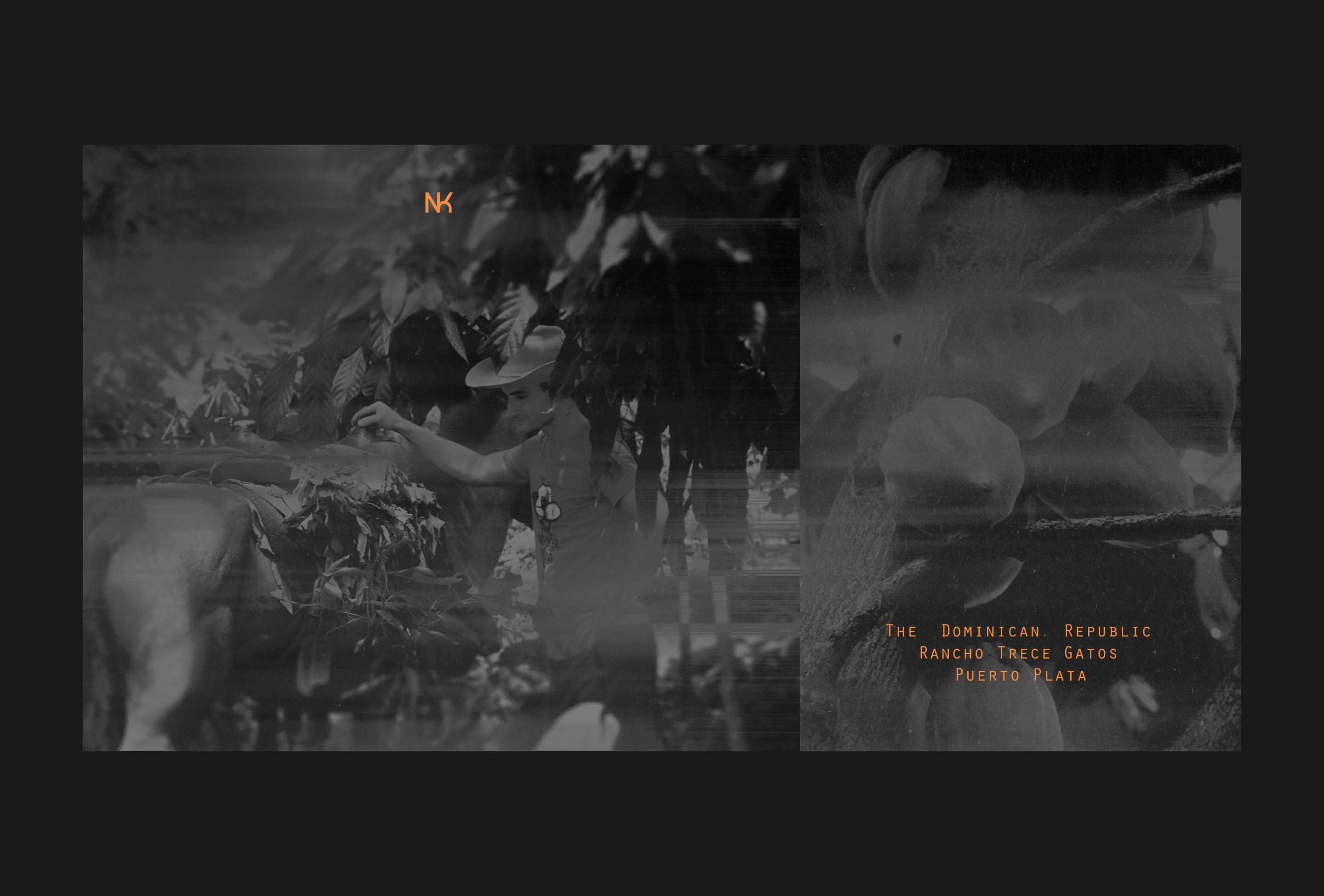 Шоколад Nikola Kalida — Изображение №5 — Брендинг на Dprofile