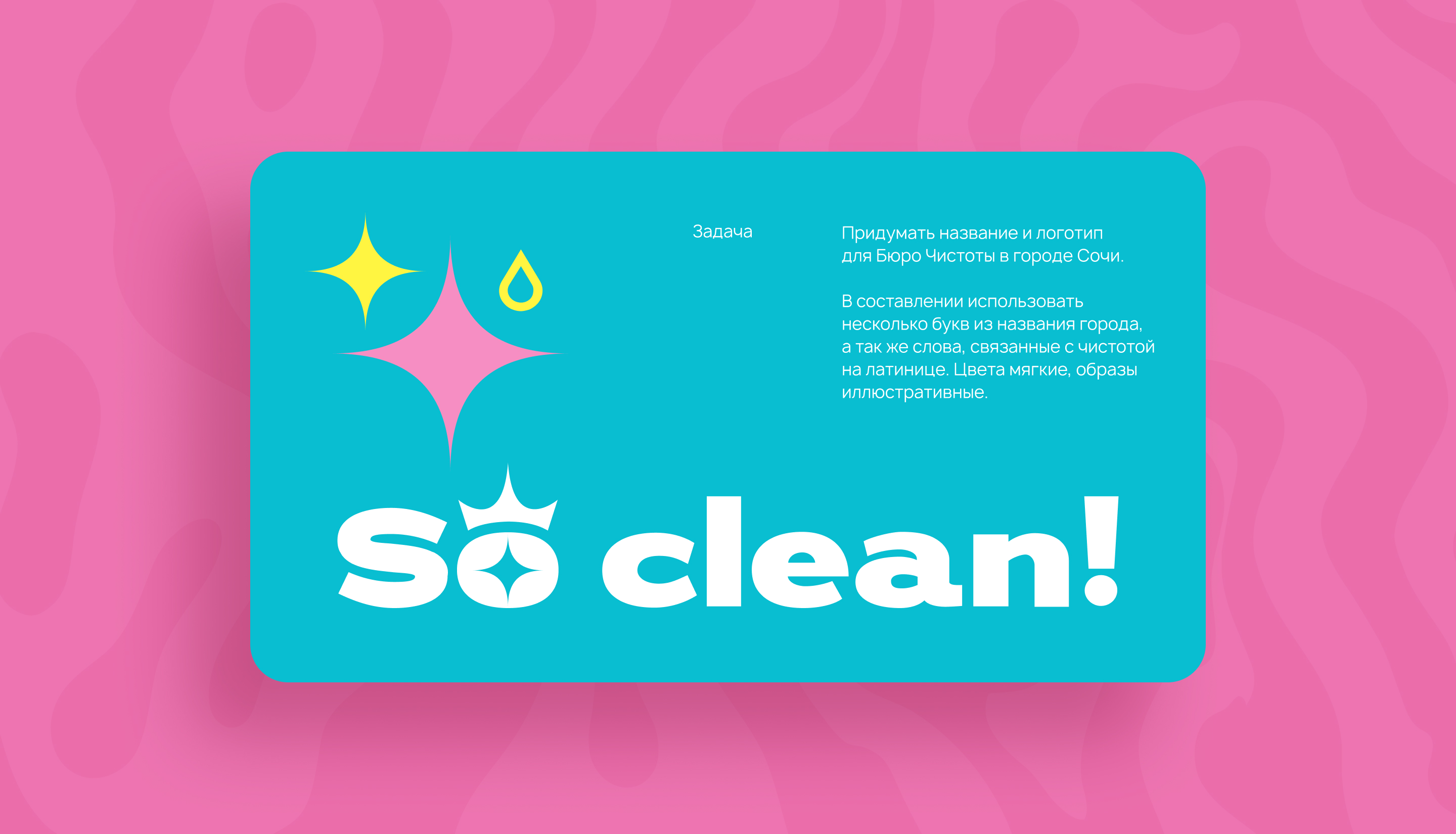 Бюро Чистоты — Изображение №2 — Брендинг на Dprofile
