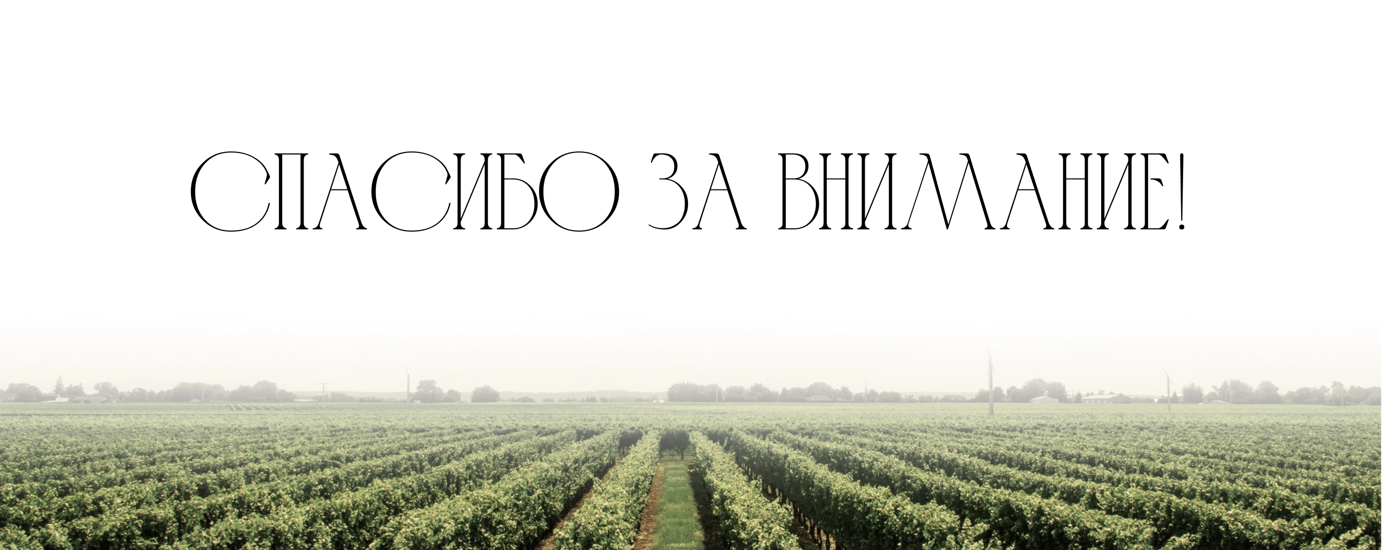 Massandra. UI / UX Design. Commercial Project — Изображение №12 — Интерфейсы на Dprofile