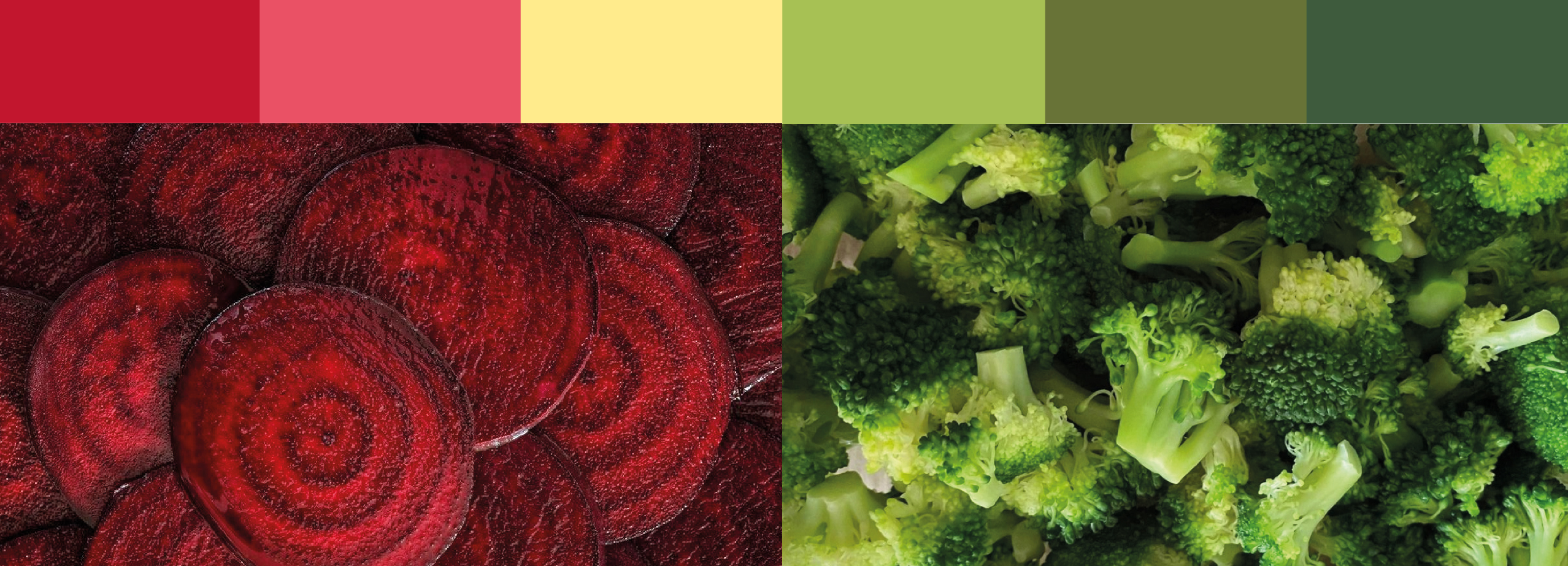 Разработка упаковки для микрозелени «Зеленая грядка» — Изображение №4 — Брендинг на Dprofile